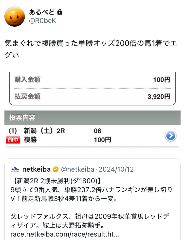 神童式馬券攻略法｜あるべど