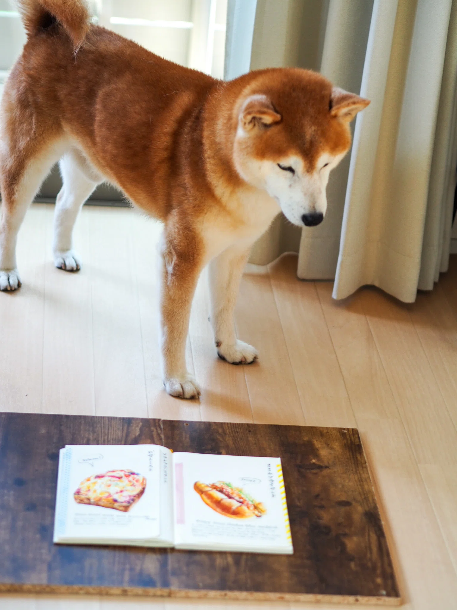 この夏、お昼ご飯に食べたパンの記録｜きのっこ@手書きフェチ