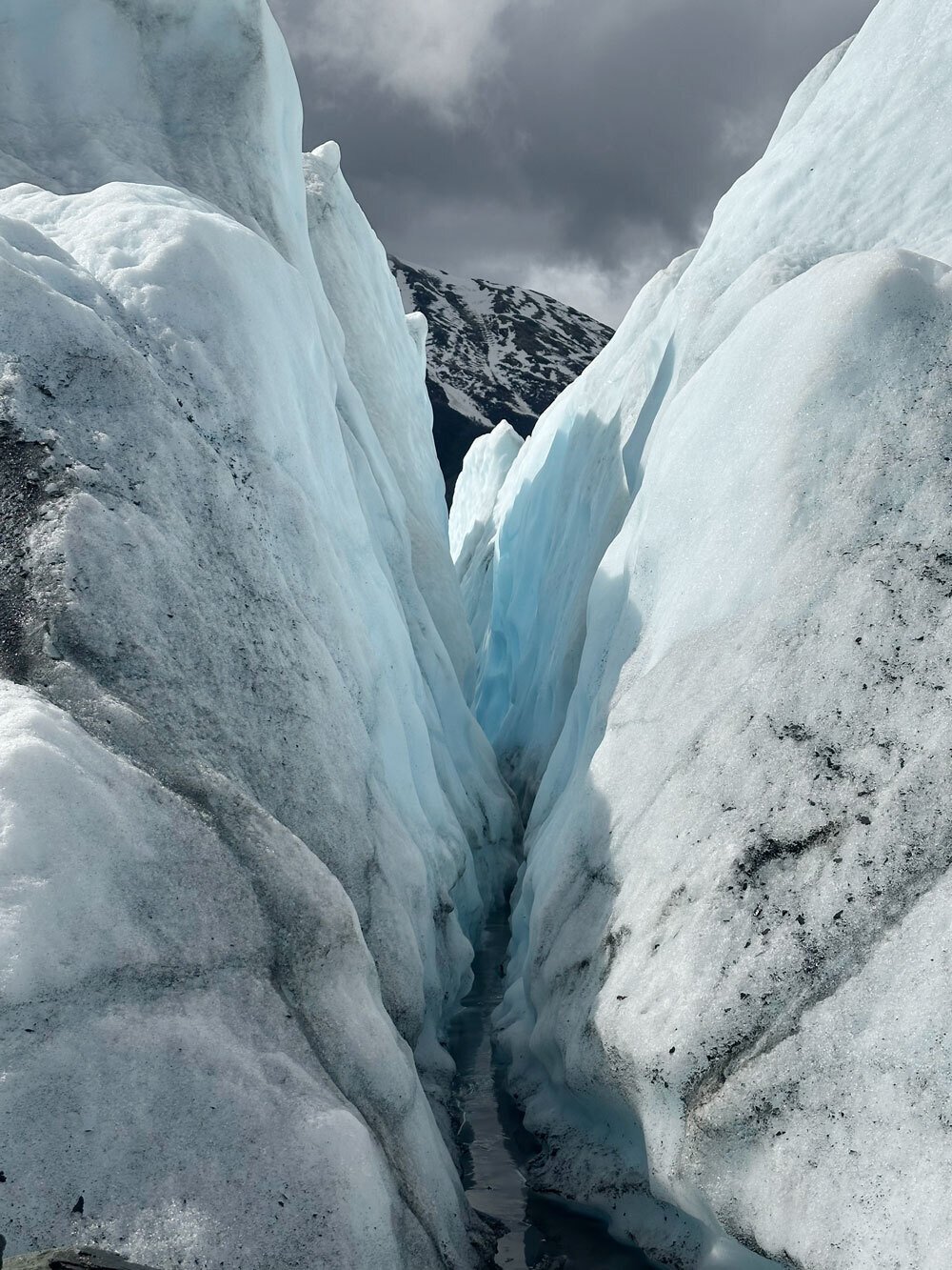 夏のアラスカで氷河を歩いて・登って・飲んできた！｜ゆかかか@ハワイ