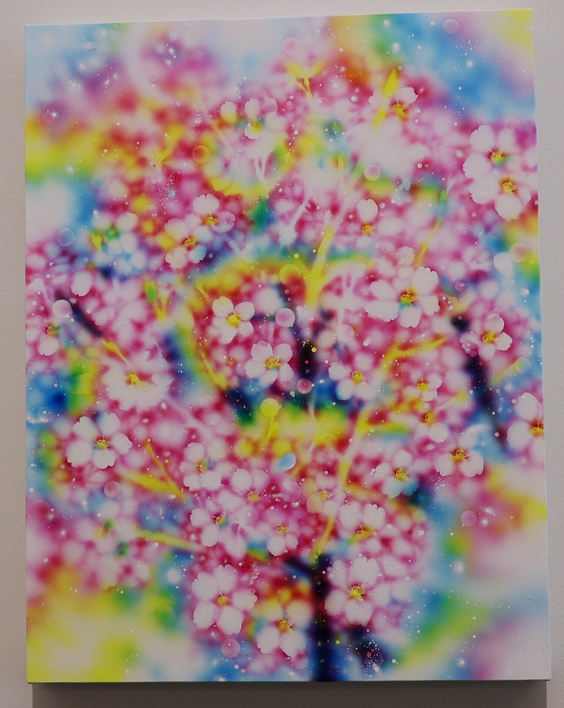 空間の隙間から発つ出逢いの旅 -塚本智也 個展「Journey of Encounters