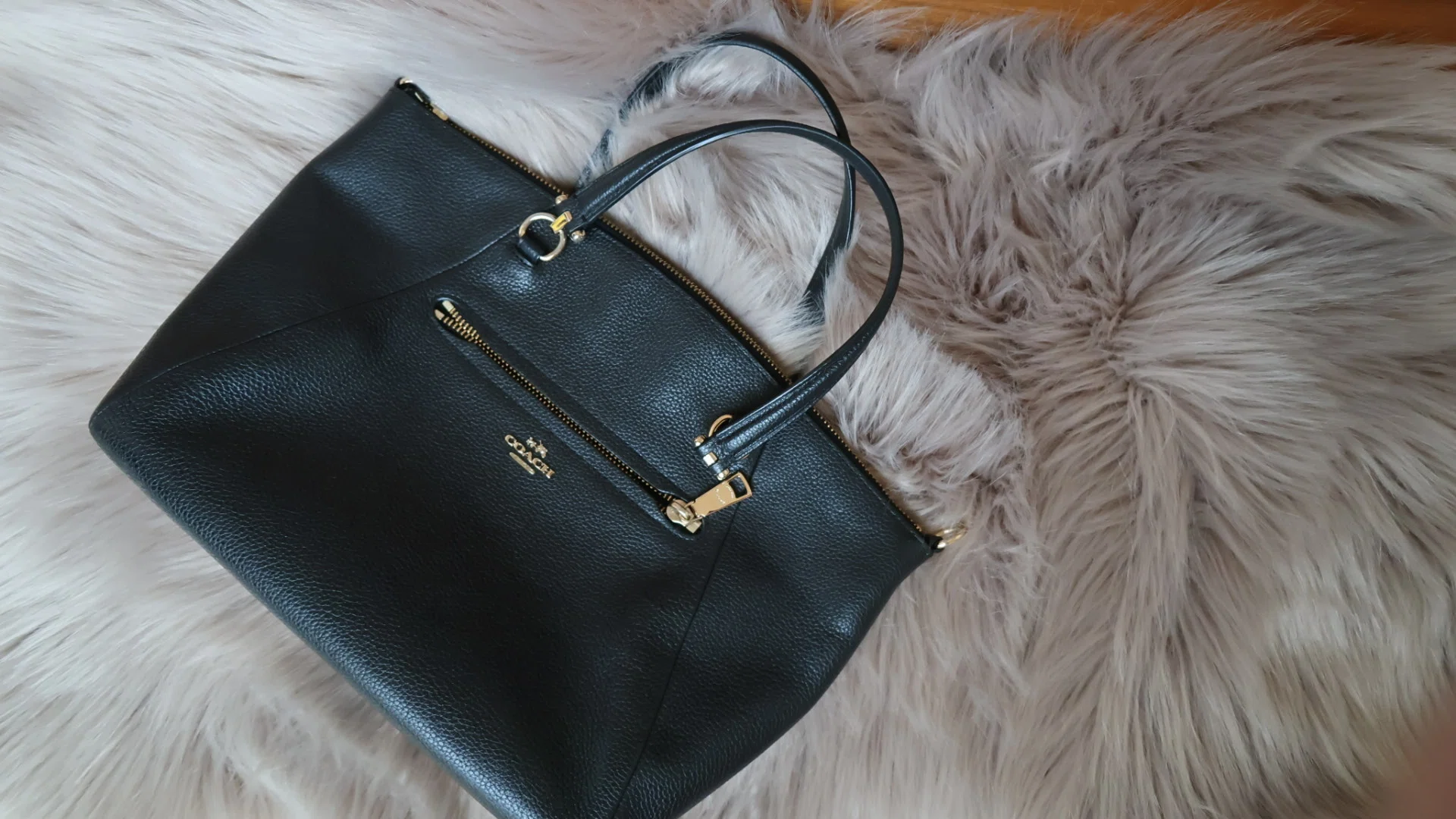 十数年前のCOACHバッグをまた愛用し始めて思ったこと｜おさかなちゃん 