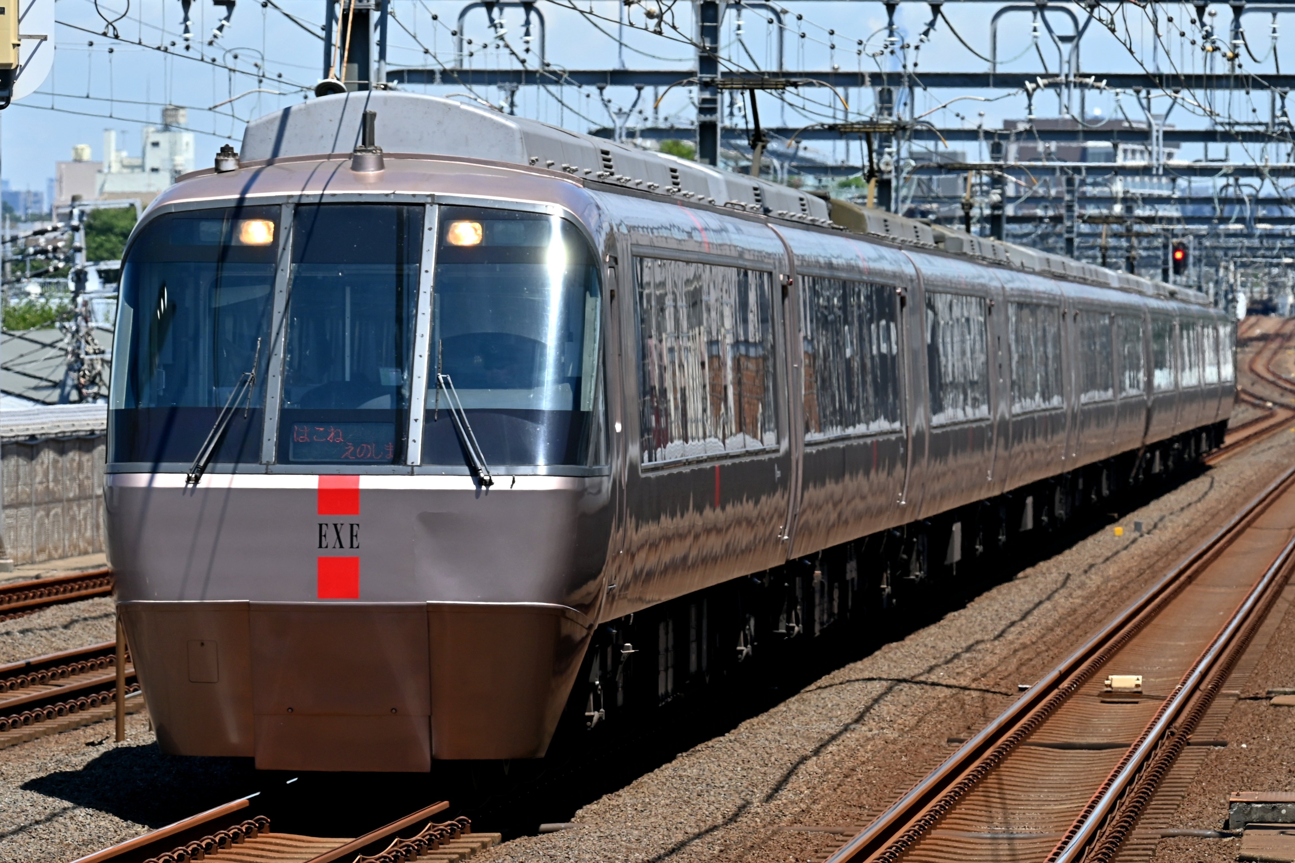 ロマンスドーン【最終値下げ！⠀】 新弾特集 | ヴァンハッピー