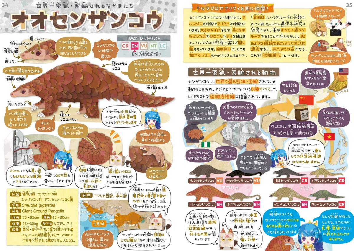 『絶滅危機動物ファイル』第2章｜キクチミロ