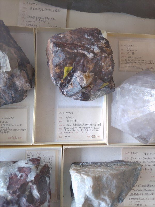 小粒でも重量感！「石ふしぎ博物館（益富地学会館）」｜語る鷲