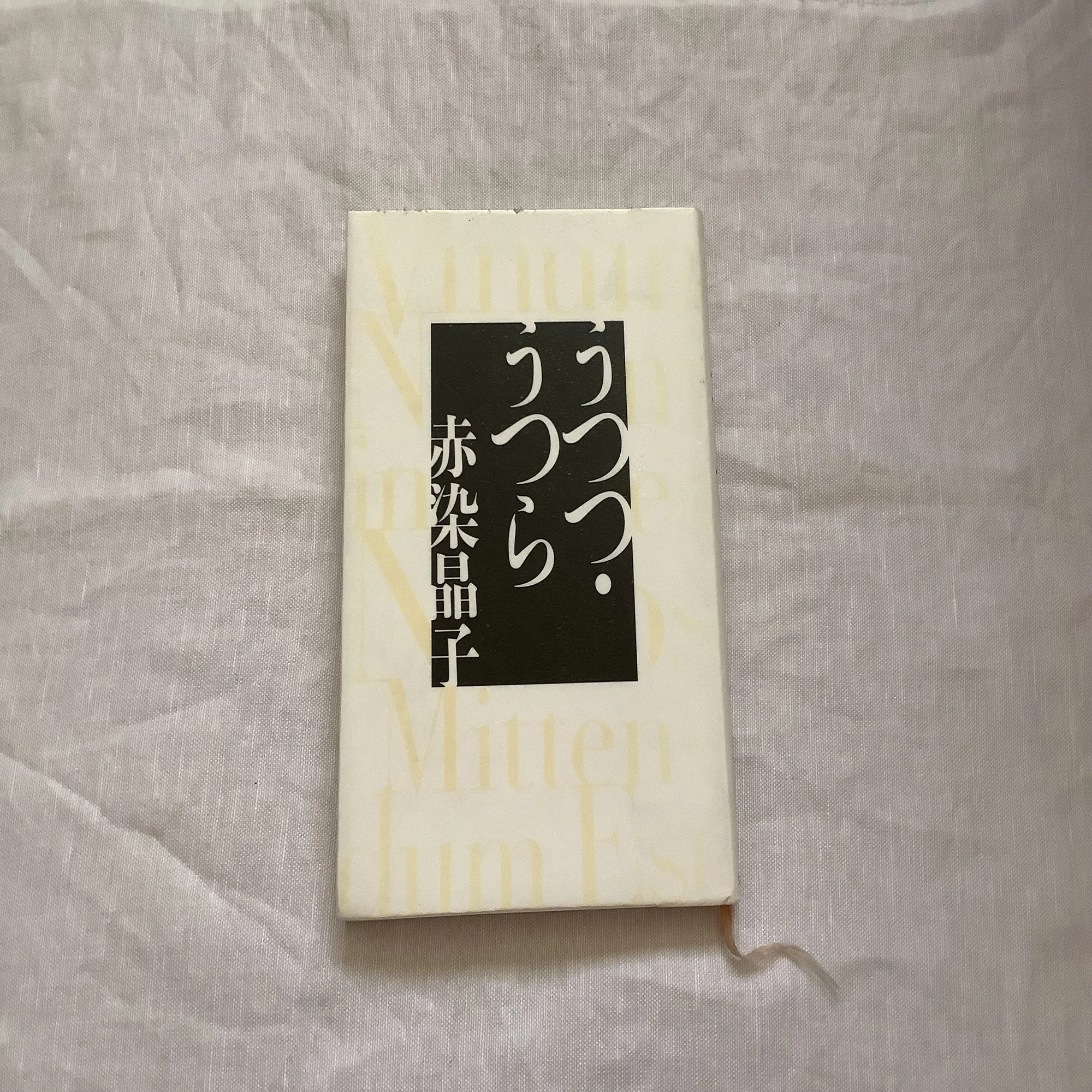 本の事】 赤染晶子さん 『じゃむパンの日』を待つ夏の日｜けい