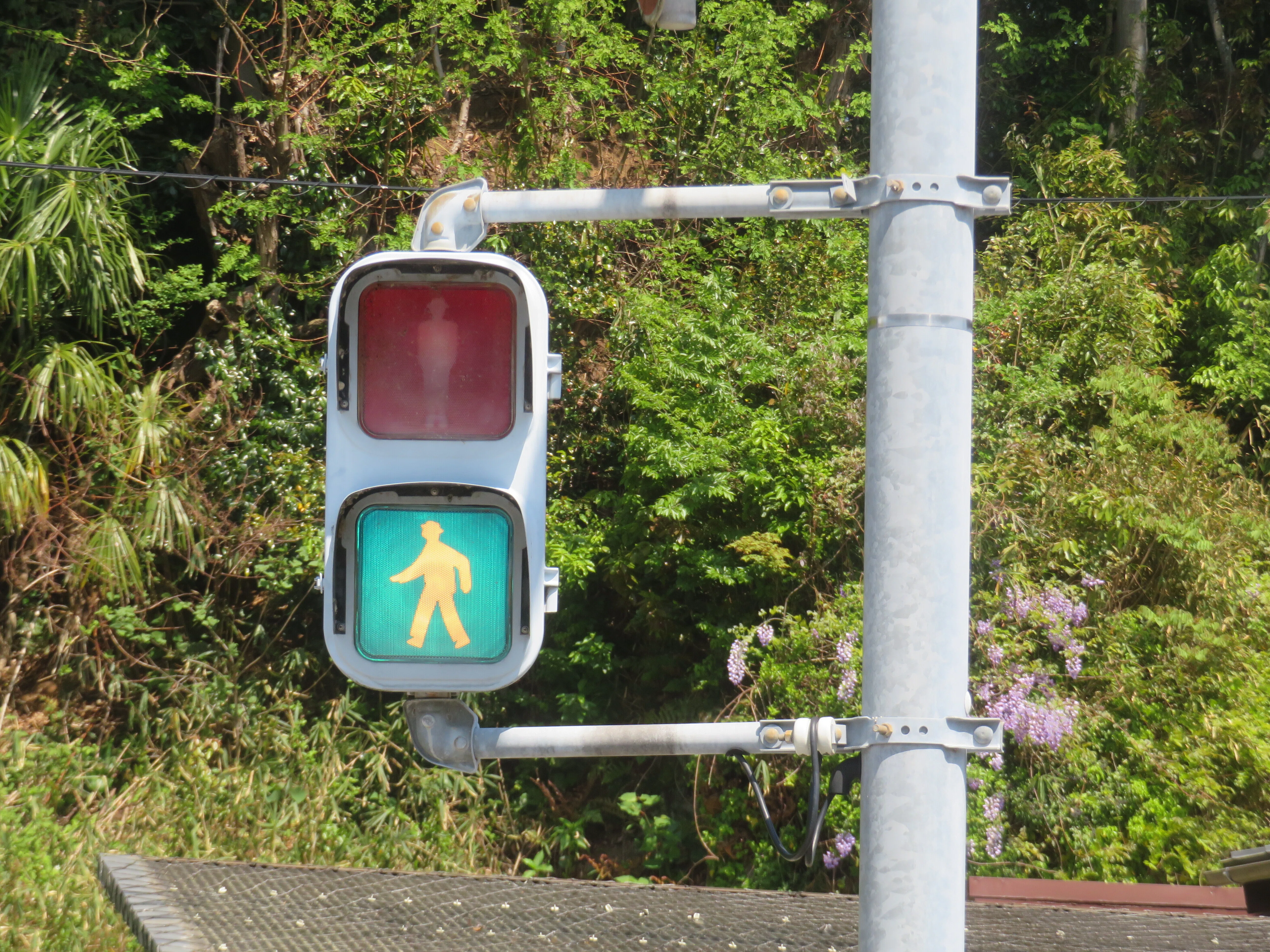 山口県の信号機】2025年度に更新予定が入っている信号機｜るーと