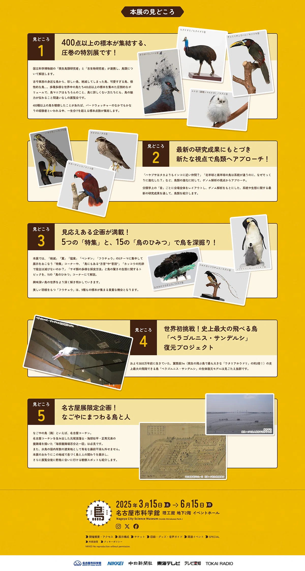 鳥好きが特別展「鳥」展に行ったら、思ってたのと全然違った話（名古屋