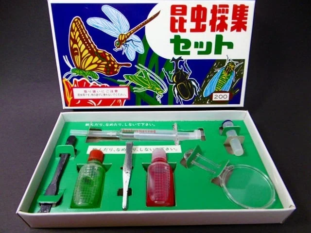 📺昭和のトリビア：『昆虫採集キット』！標本箱に詰めこんだ、ぼくらの
