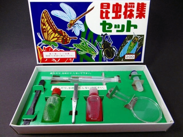 📺昭和のトリビア：『昆虫採集キット』！標本箱に詰めこんだ、ぼくらの