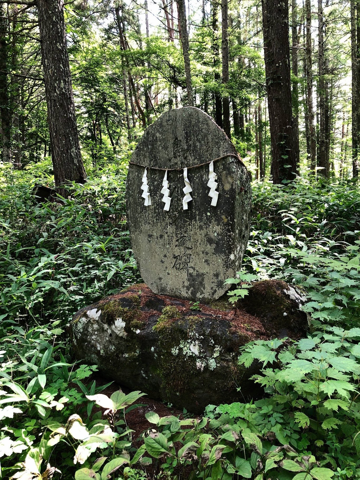 謎の廃村、稗之底古村址へ｜ういうい