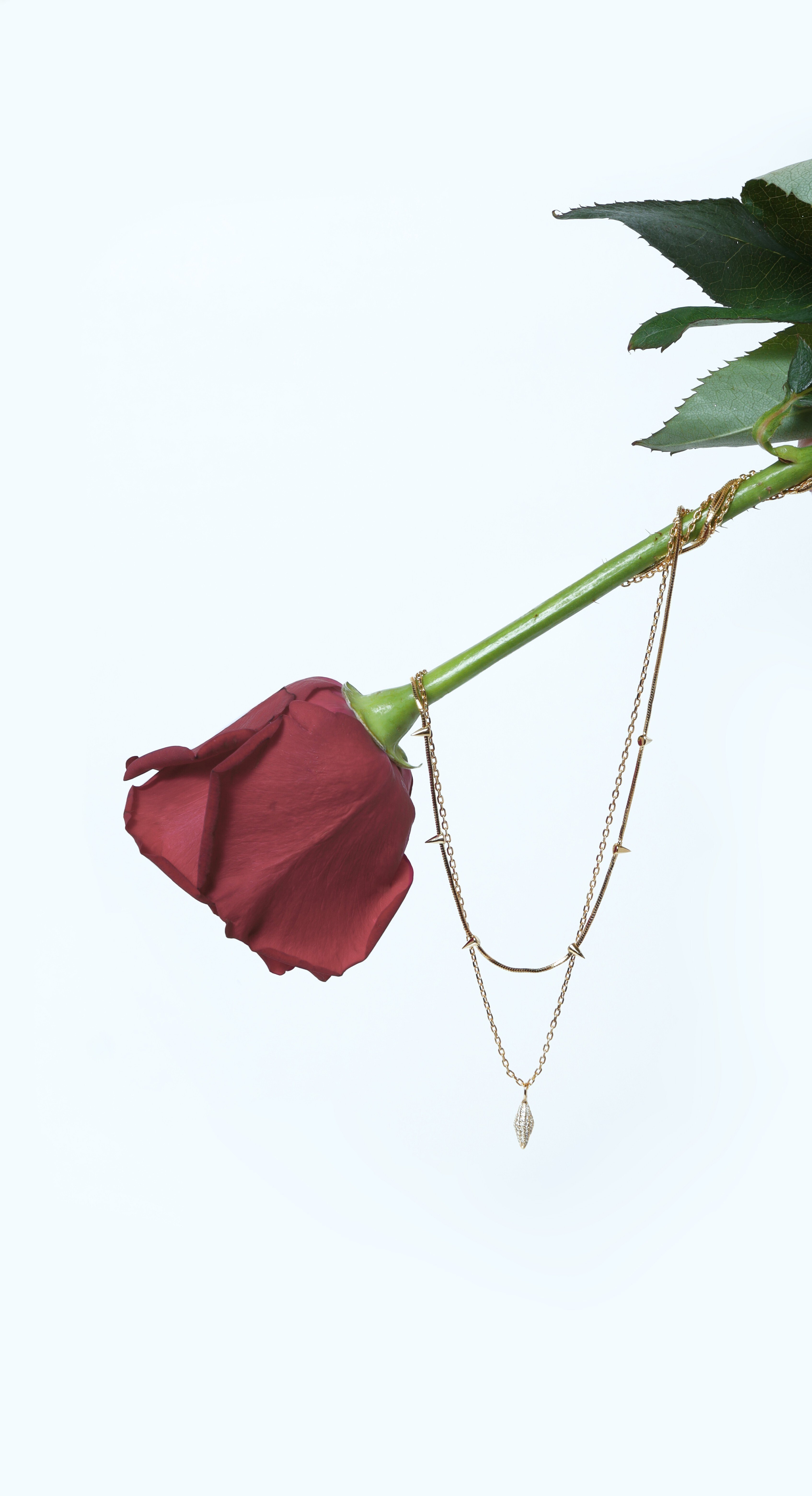 高尾颯斗初プロデュースブランド“THORIEL”誕生！秋・冬シーズンに大