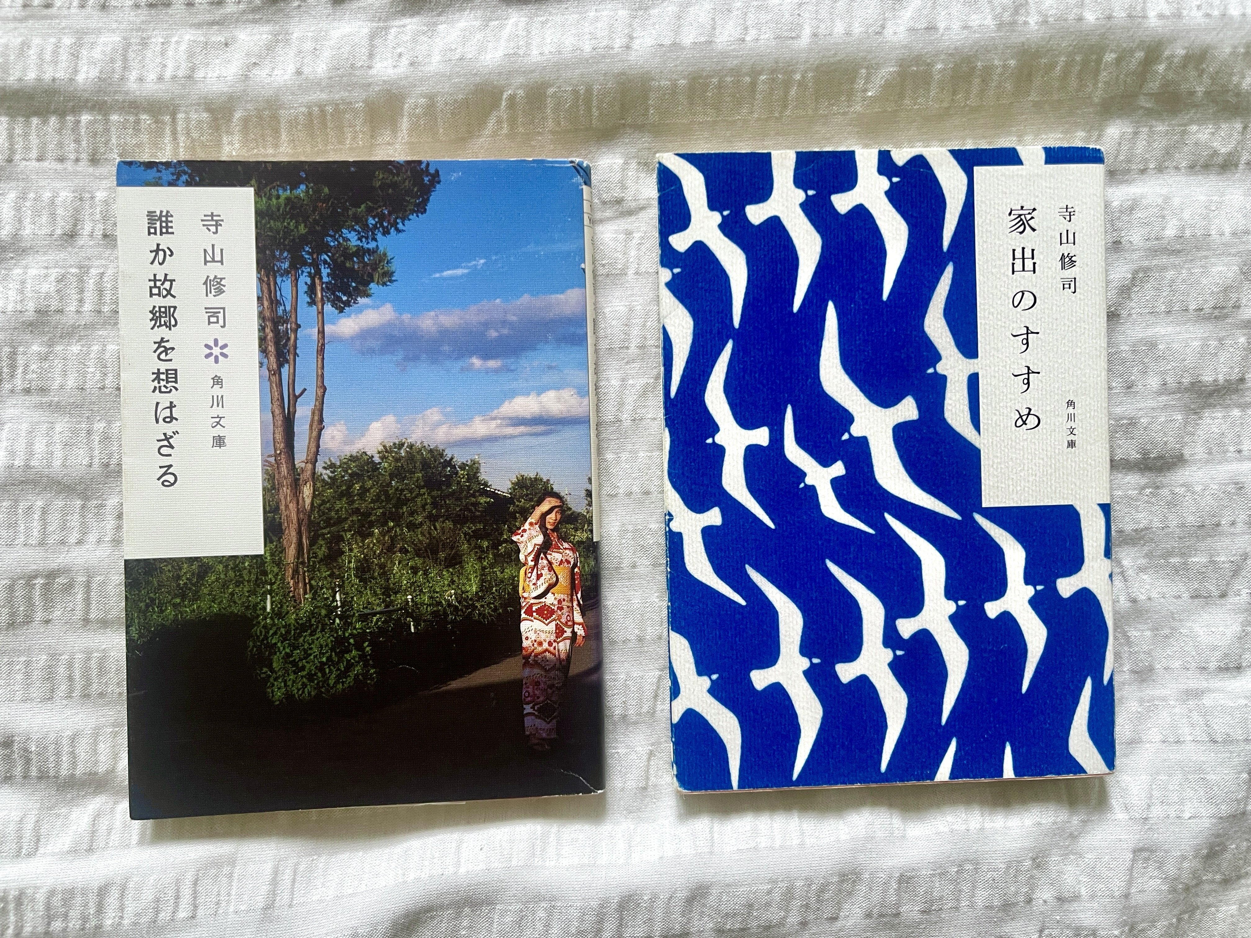俳句あるふぁ 1993年季刊 春 創刊2号 特集 寺山修司の原風景 Amazon.co.jp: 寺山修司青春歌集 (角川文庫 て 1-9) : 寺山 修司: 本