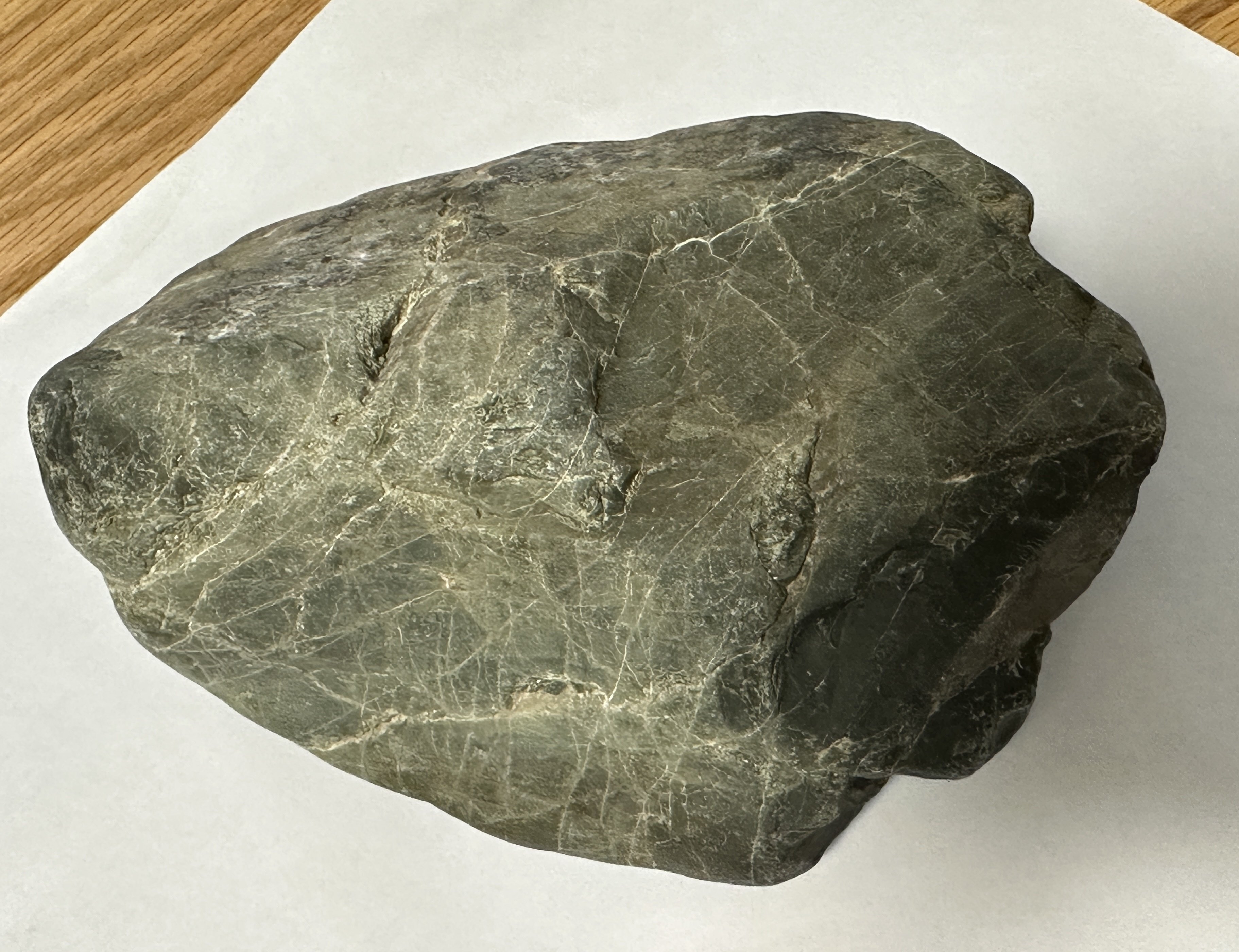 日記】Google AIと多摩川で石拾い｜ハズ