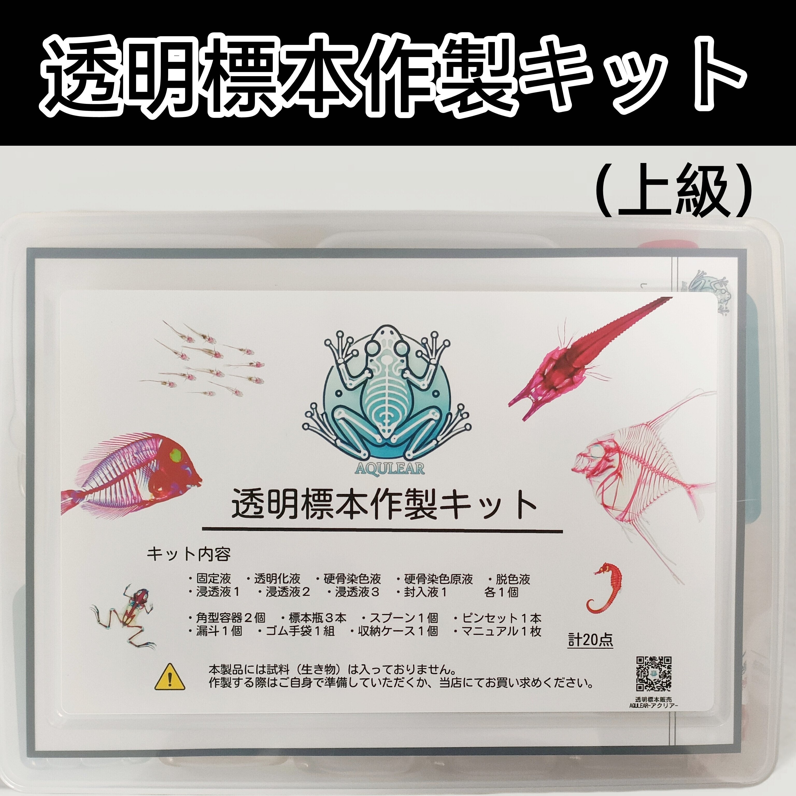 セール★限定販売★オリジナル商品【透明標本作製キット】全17点 限定販売☆オリジナル商品【透明標本作製キット】全17点 - メルカリ