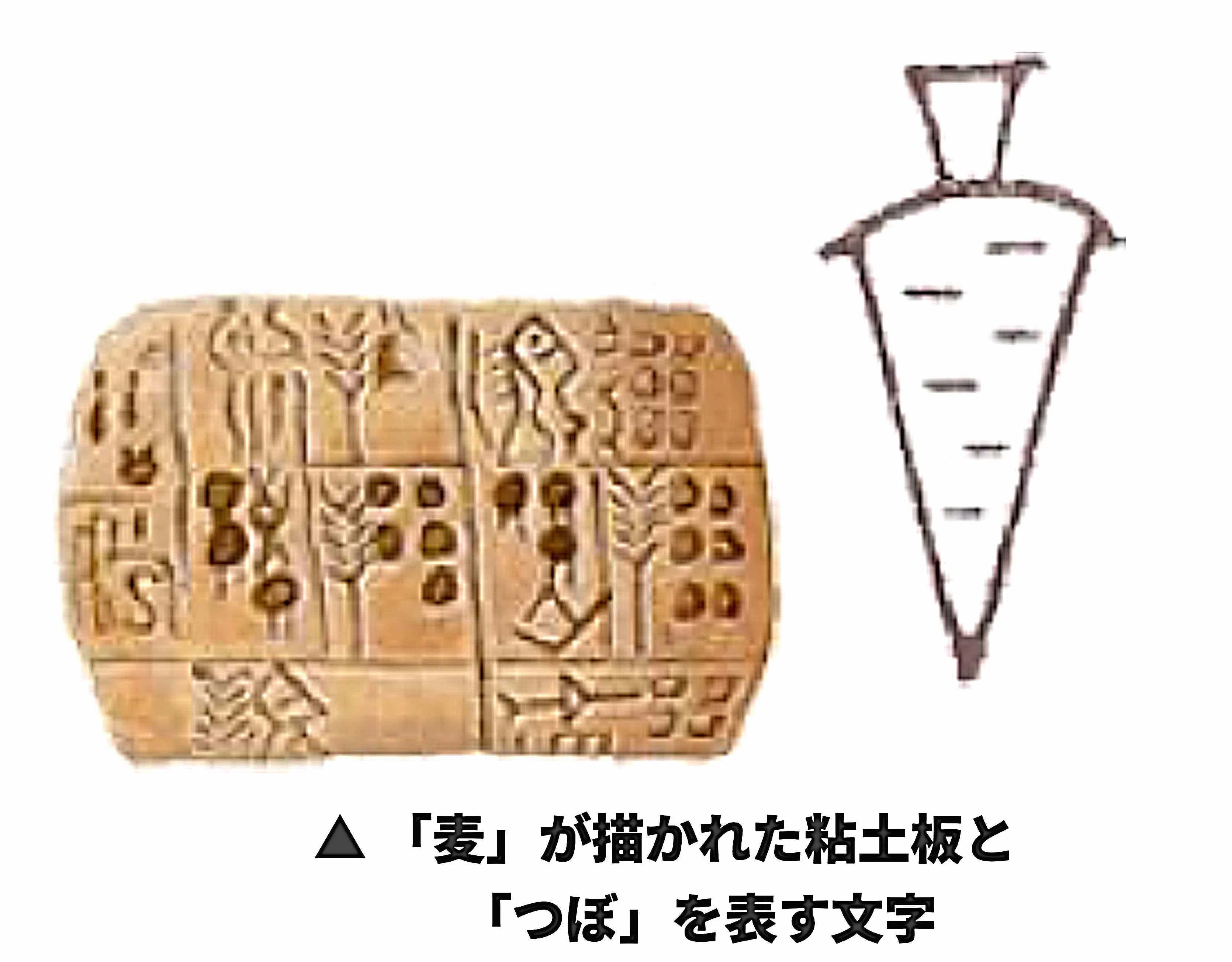 The Ruthless 10,000-Year Journey (10) Neolithic Industrial Revolution ...