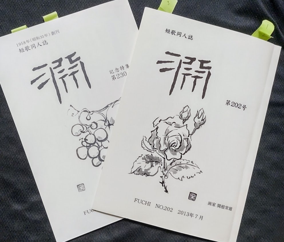 今日の短歌。 昔つくった短歌の方がよかったかも。｜akiyochan