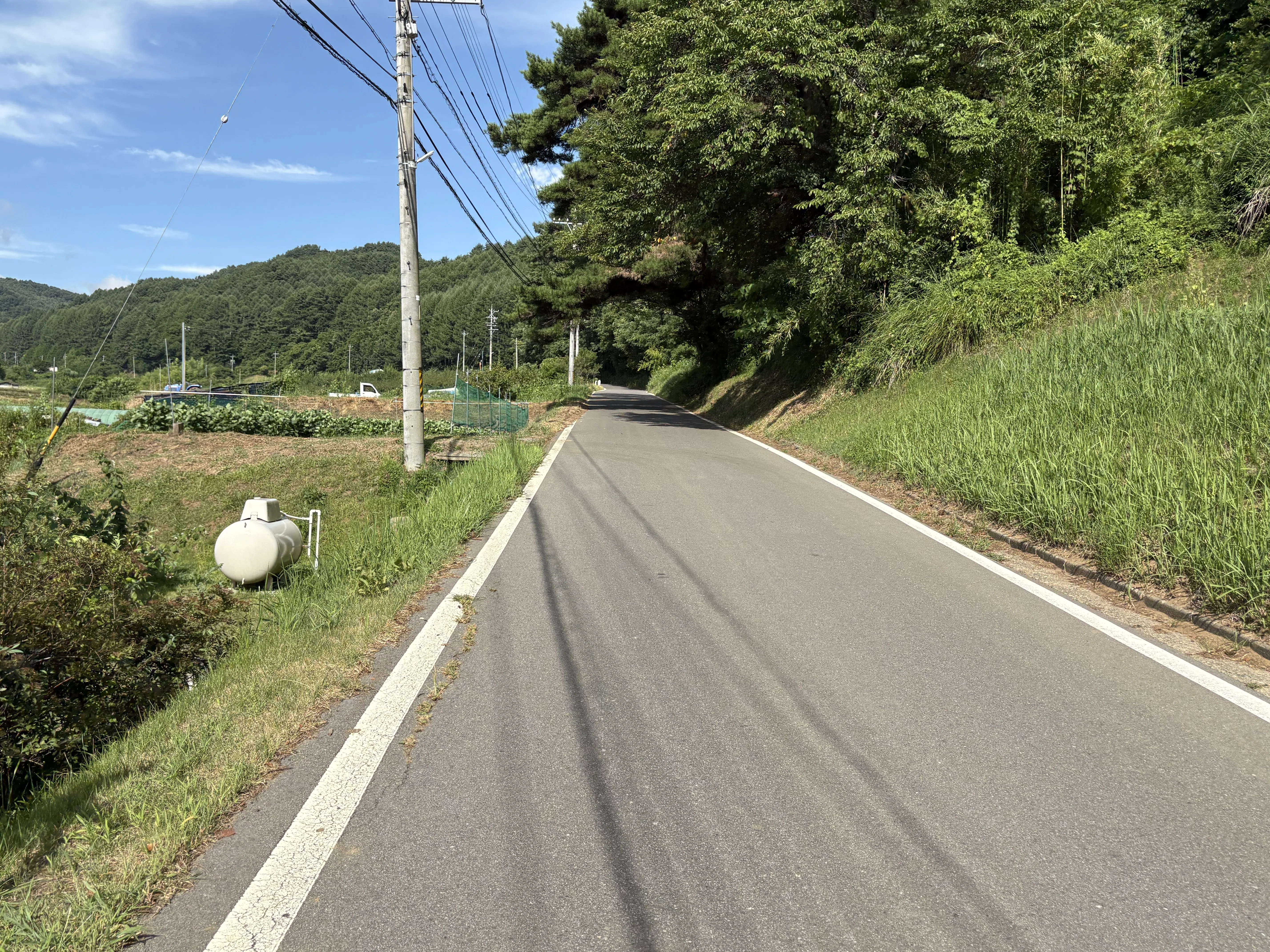 移住PRシリーズ〜ロードバイクで考える佐久市の魅力シリーズ2~｜さやか