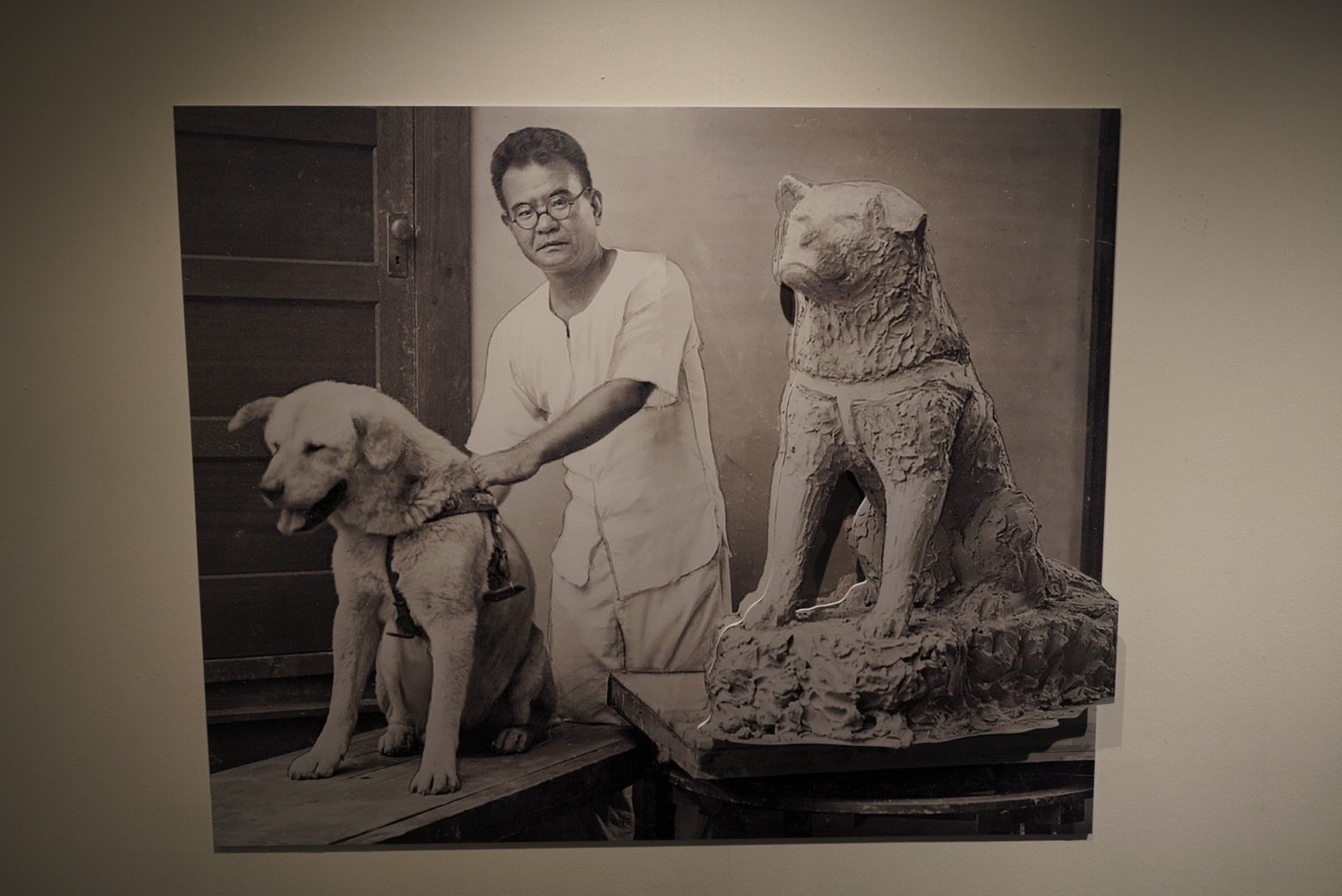 TTD 17230【⭐︎ 忠犬ハチ KOH様⭐︎】【美品・数量限定】 お手をするハチ公」激レア写真が見つかり展示中 飼い主の上野英三郎