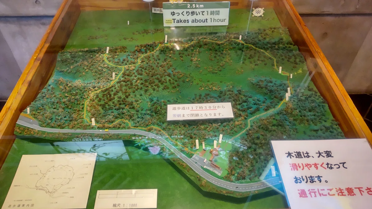 釧路市湿原展望台の遊歩道の模型の写真