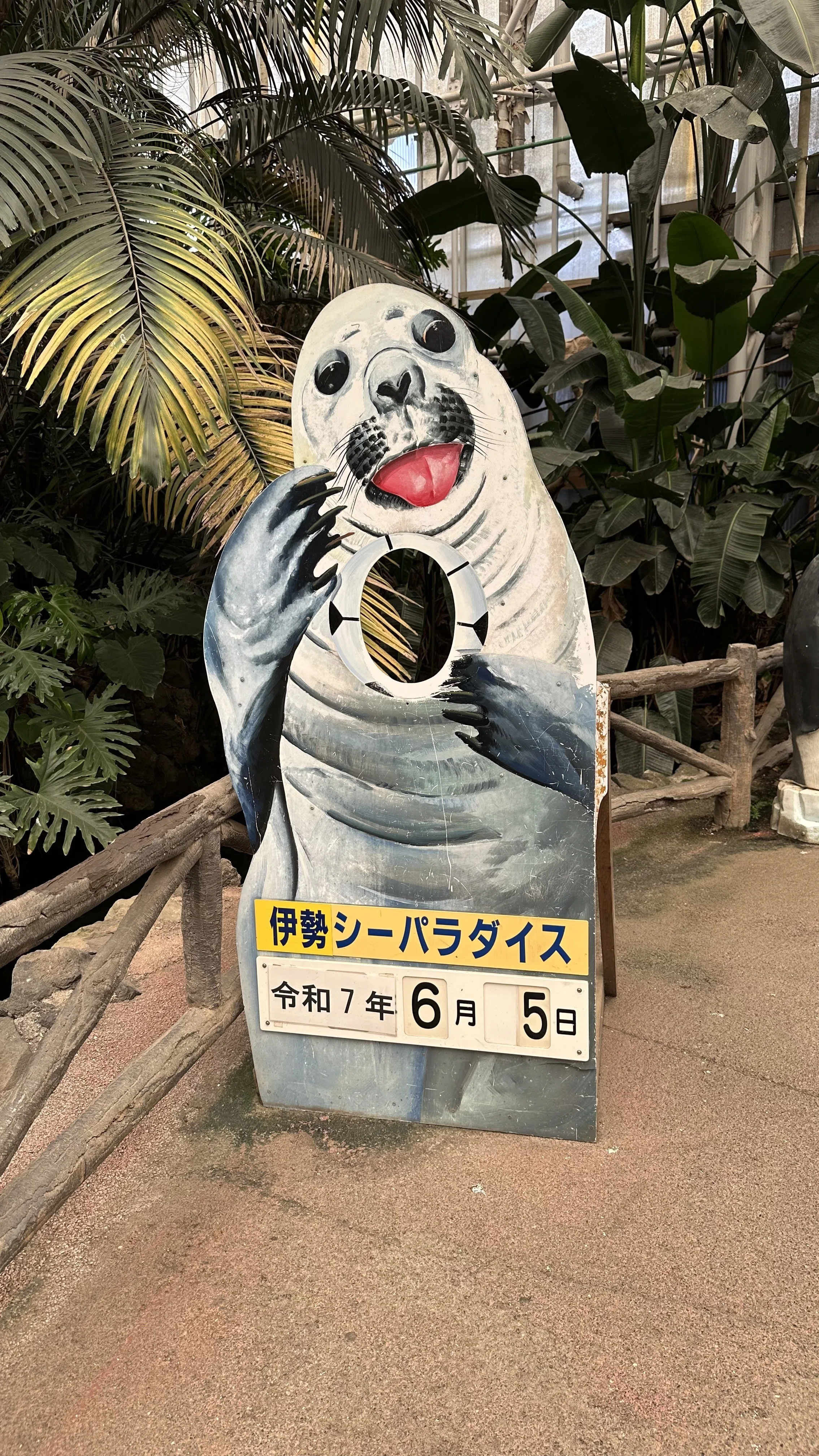 Futami Sea Paradise, Dolphins, Sea Lions, Walruses, Mie Trip 2025/6/5｜声 ...