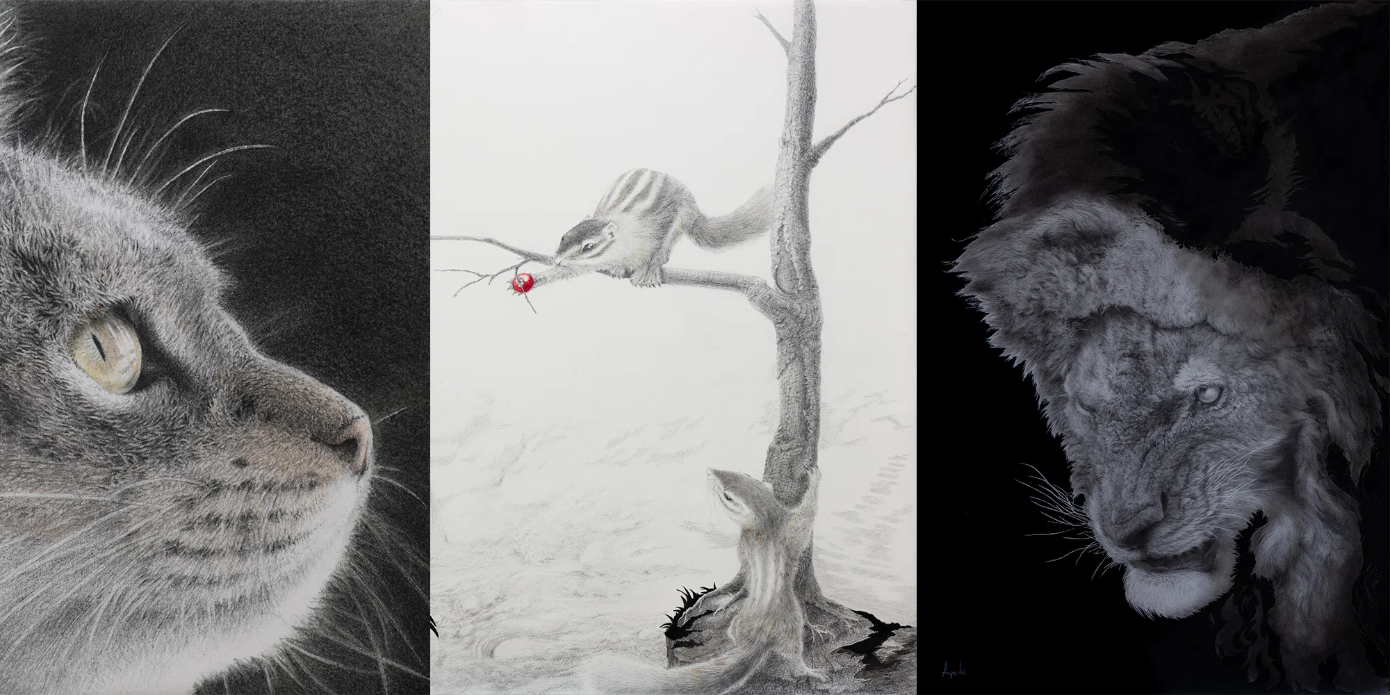 私が描く「細密動物画」とは！？｜よしなし つづる