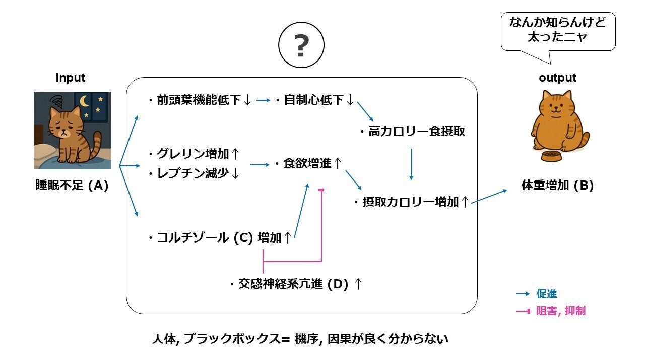 セルフトレーニング問題 生涯教育のためのセルフトレーニング問題集 | 刊行物 | 日本内科学会