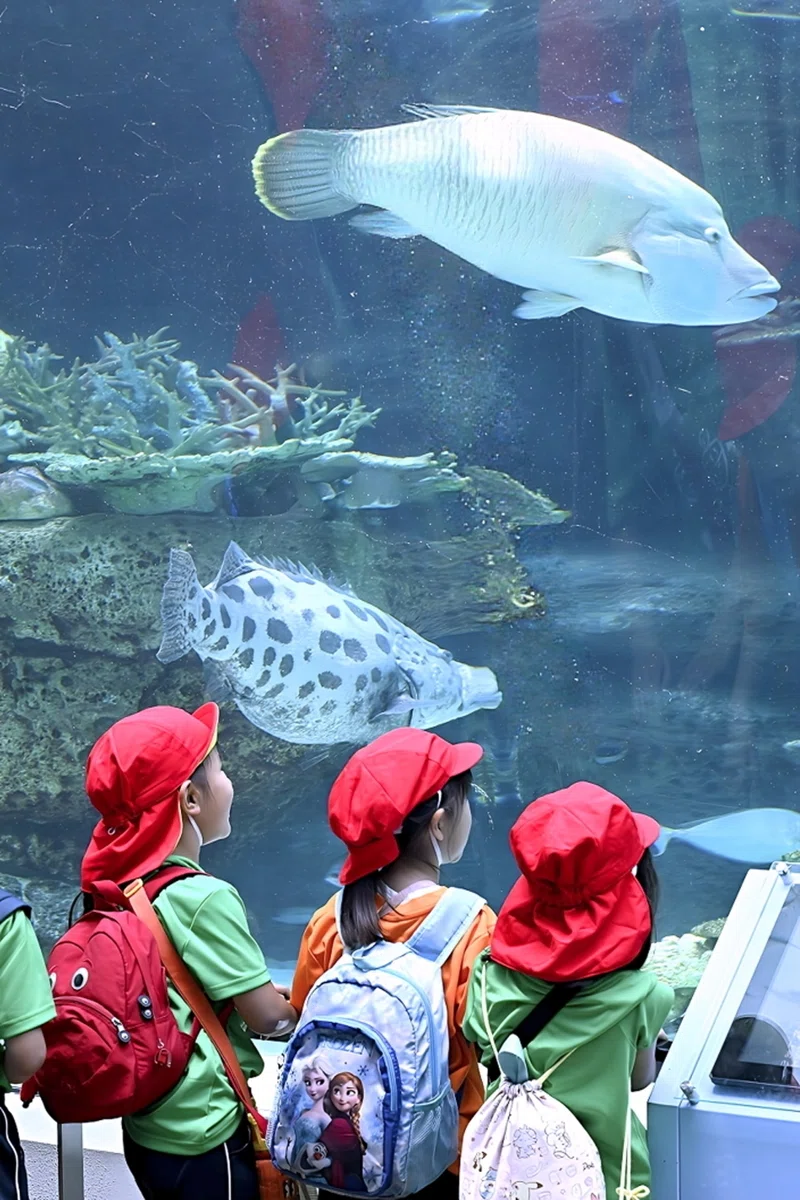 MC 105mm f2.8 de 水族館｜絵宙詞 є-ѕσяα-gσтσ