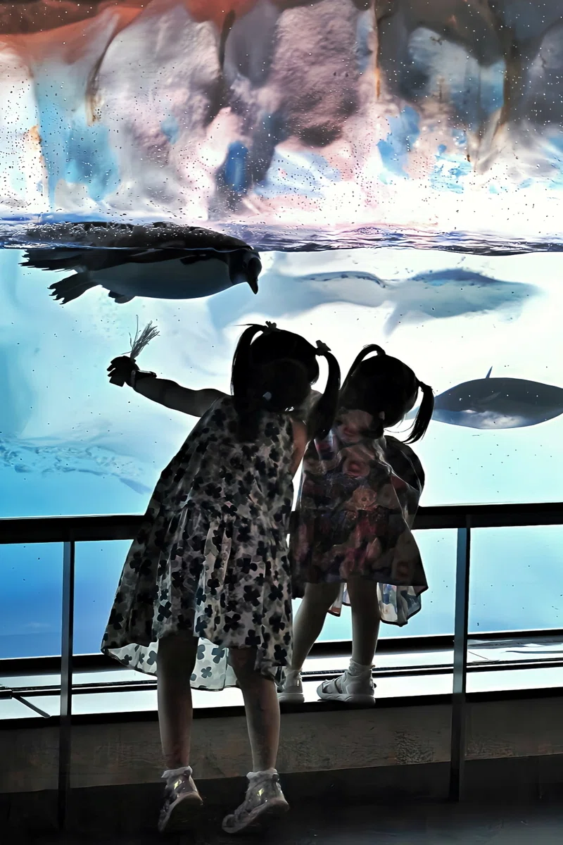 MC 105mm f2.8 de 水族館｜絵宙詞 є-ѕσяα-gσтσ