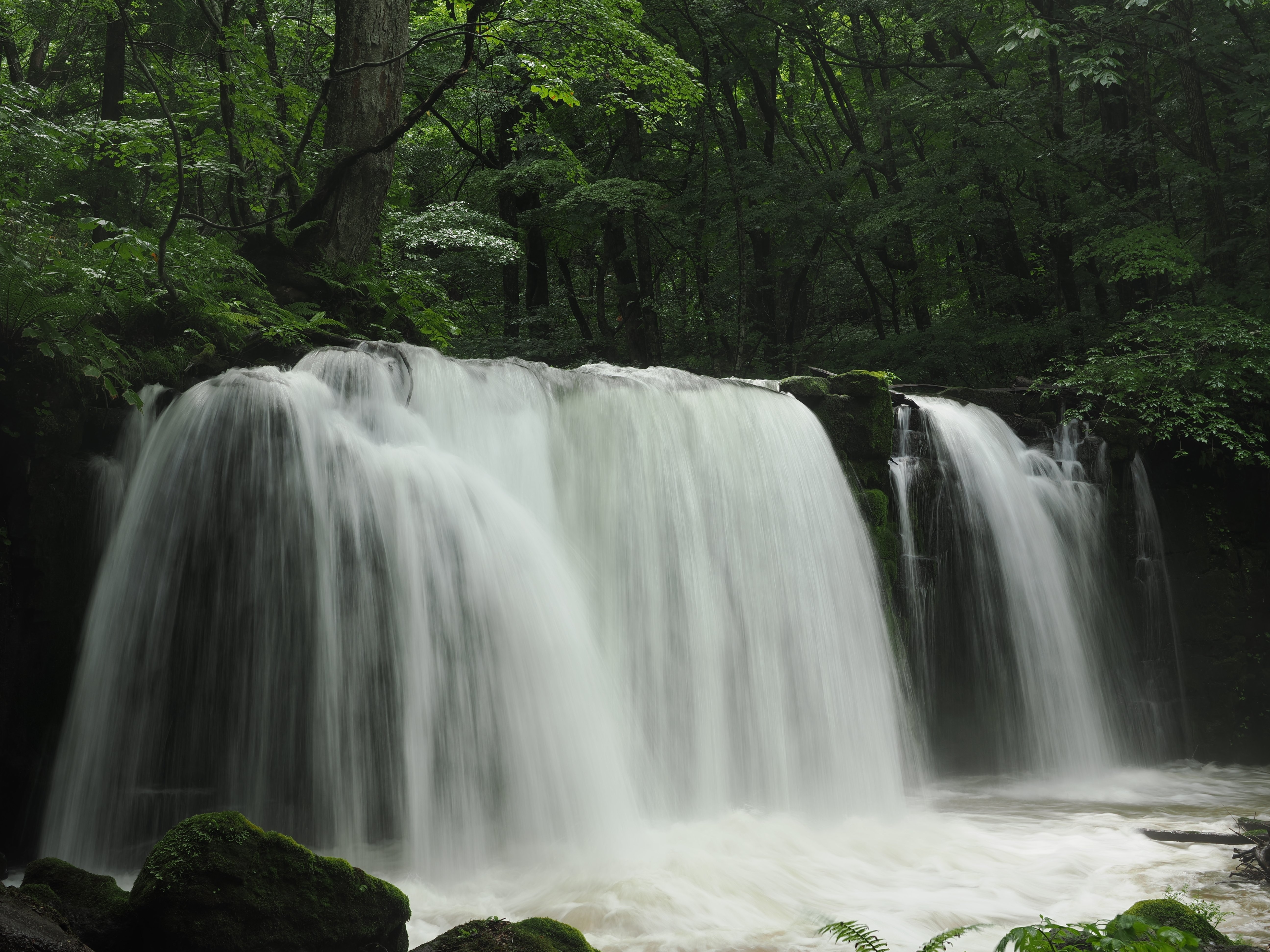 今日の奥入瀬渓流 25/8/7｜奥入瀬日和@星野リゾート