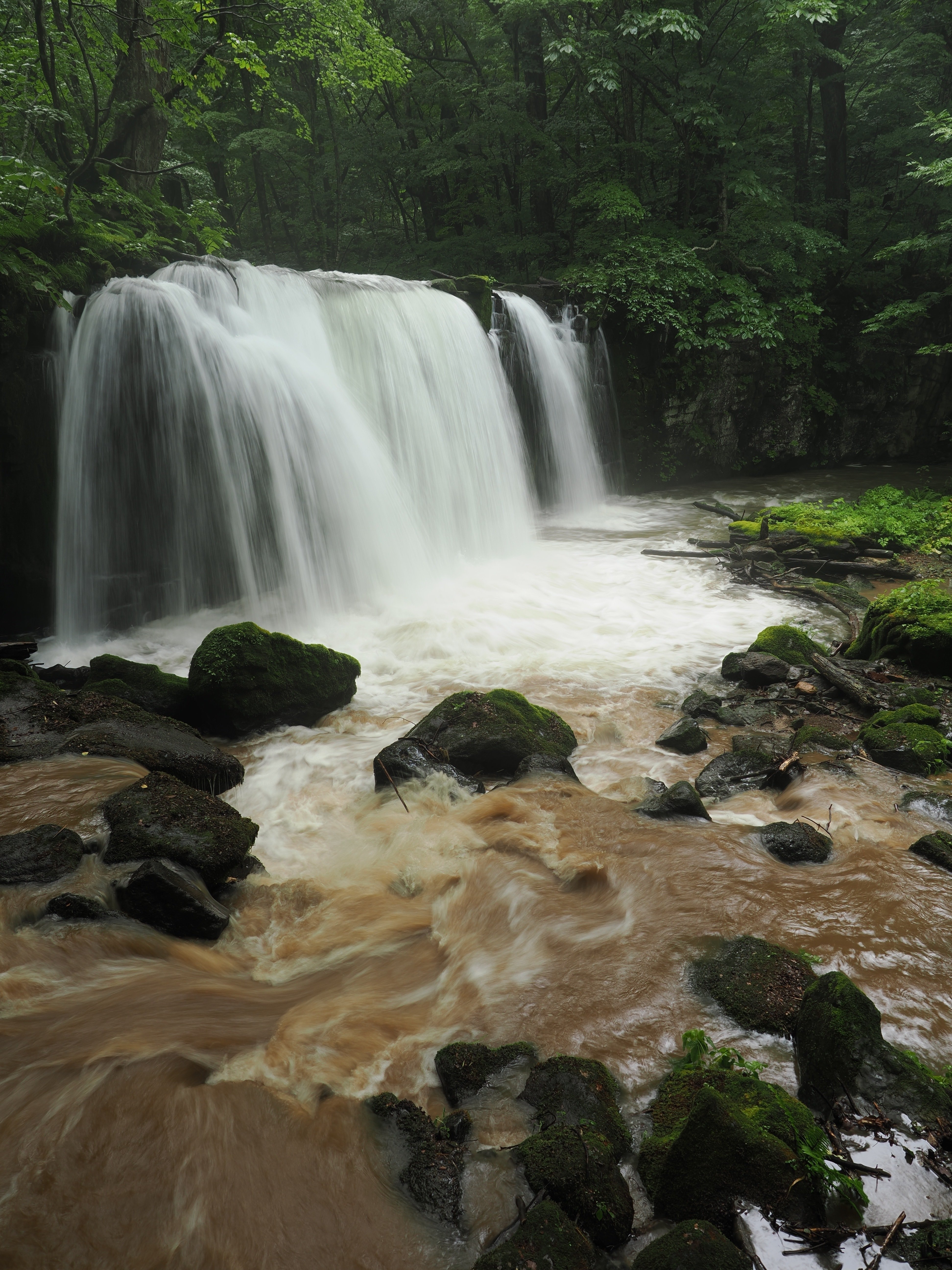 奥入瀬　森谷繁　渓響 圧倒的紅葉】死ぬまでに一度は見たい奥入瀬渓流の絶景紅葉｜青森