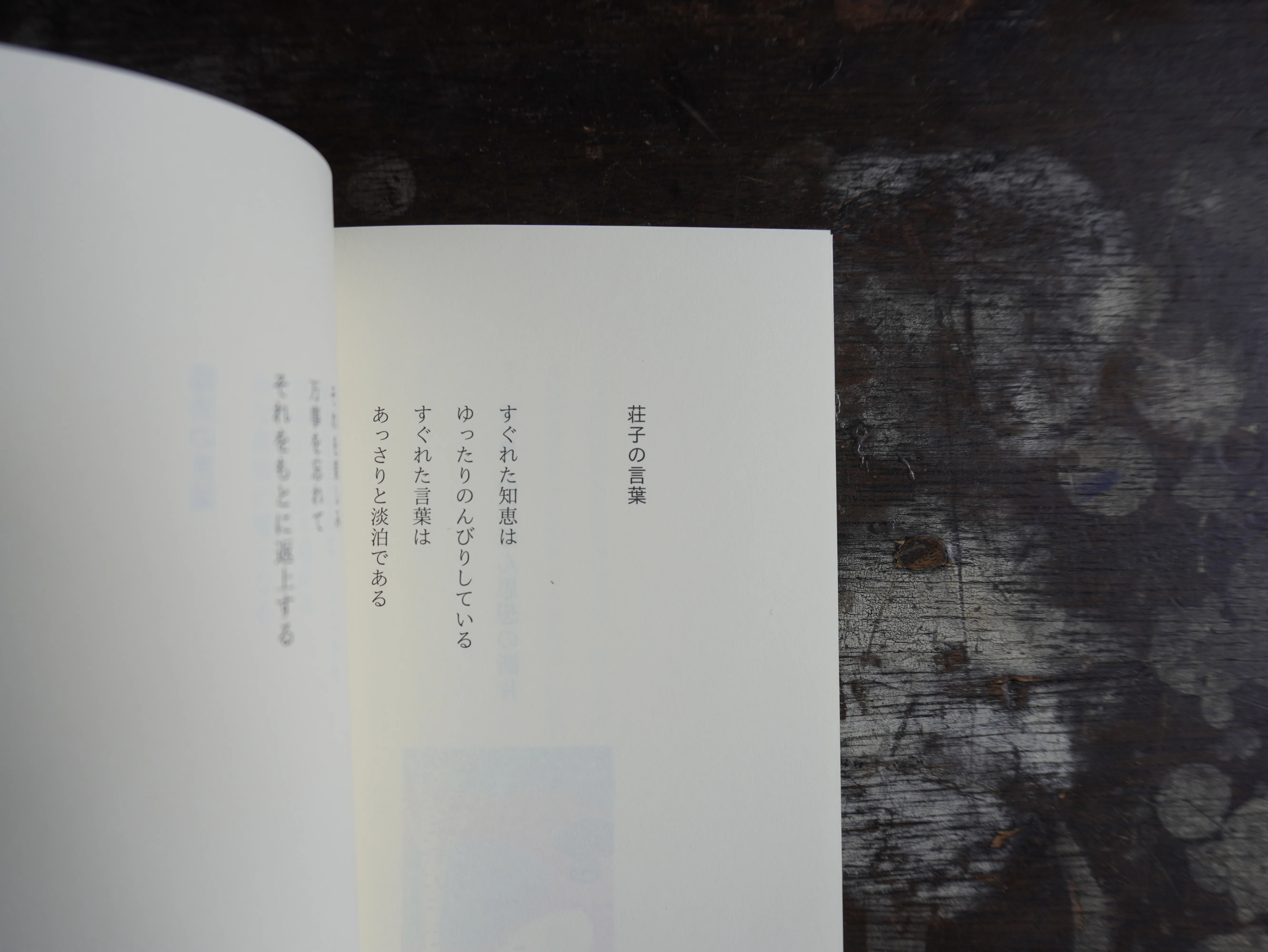 【中古】 「あいさつ言葉」の魅力 京言葉を起点として/武蔵野書院/寺島浩子 恵文社一乗寺店 7月の本の話 2025｜恵文社 | 本にまつわるあれこれのお店