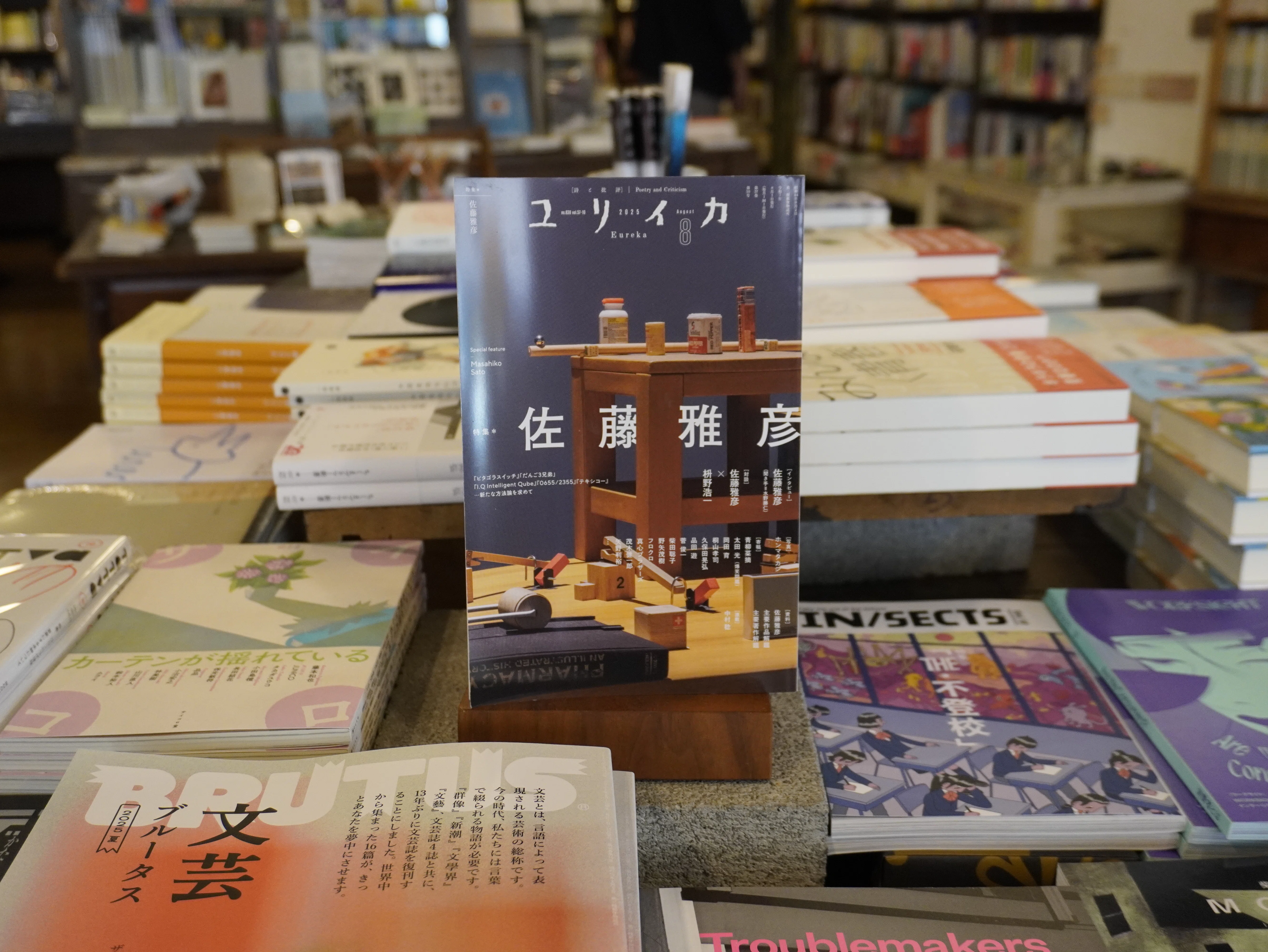 恵文社一乗寺店 7月の本の話 2025｜恵文社 | 本にまつわるあれこれのお店