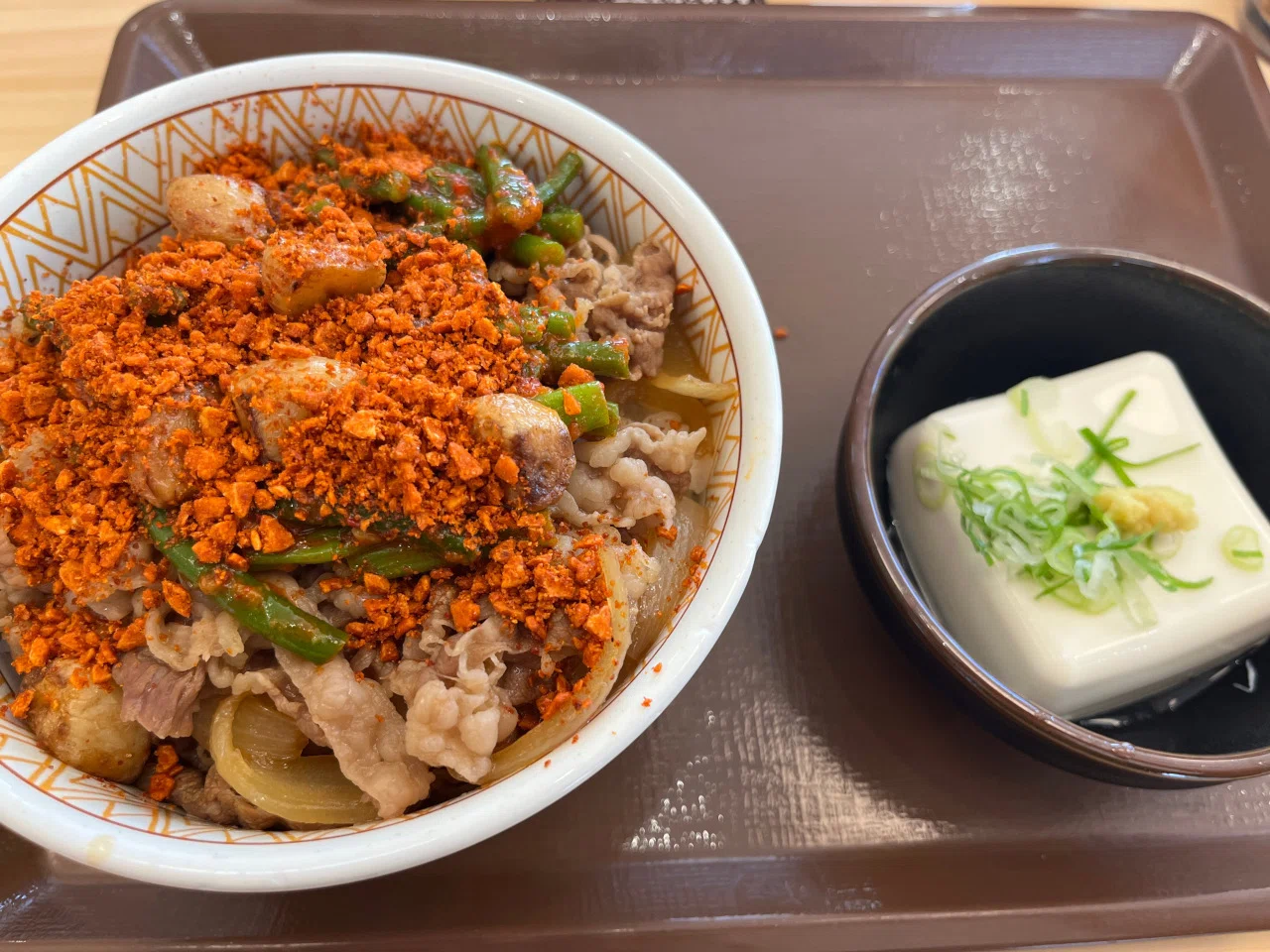 食事】すき家のニンニクの芽牛丼をコンプリートした2025年夏｜明多坂 優