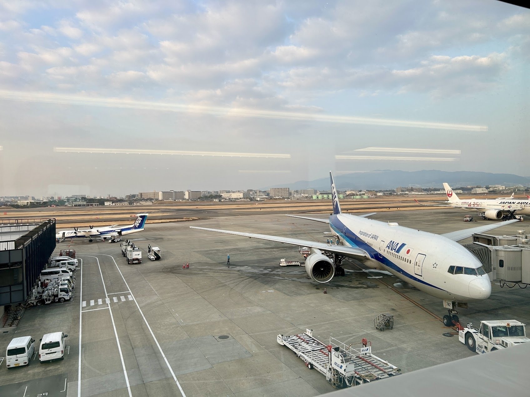 2025年SFC修行まとめ｜旅犬