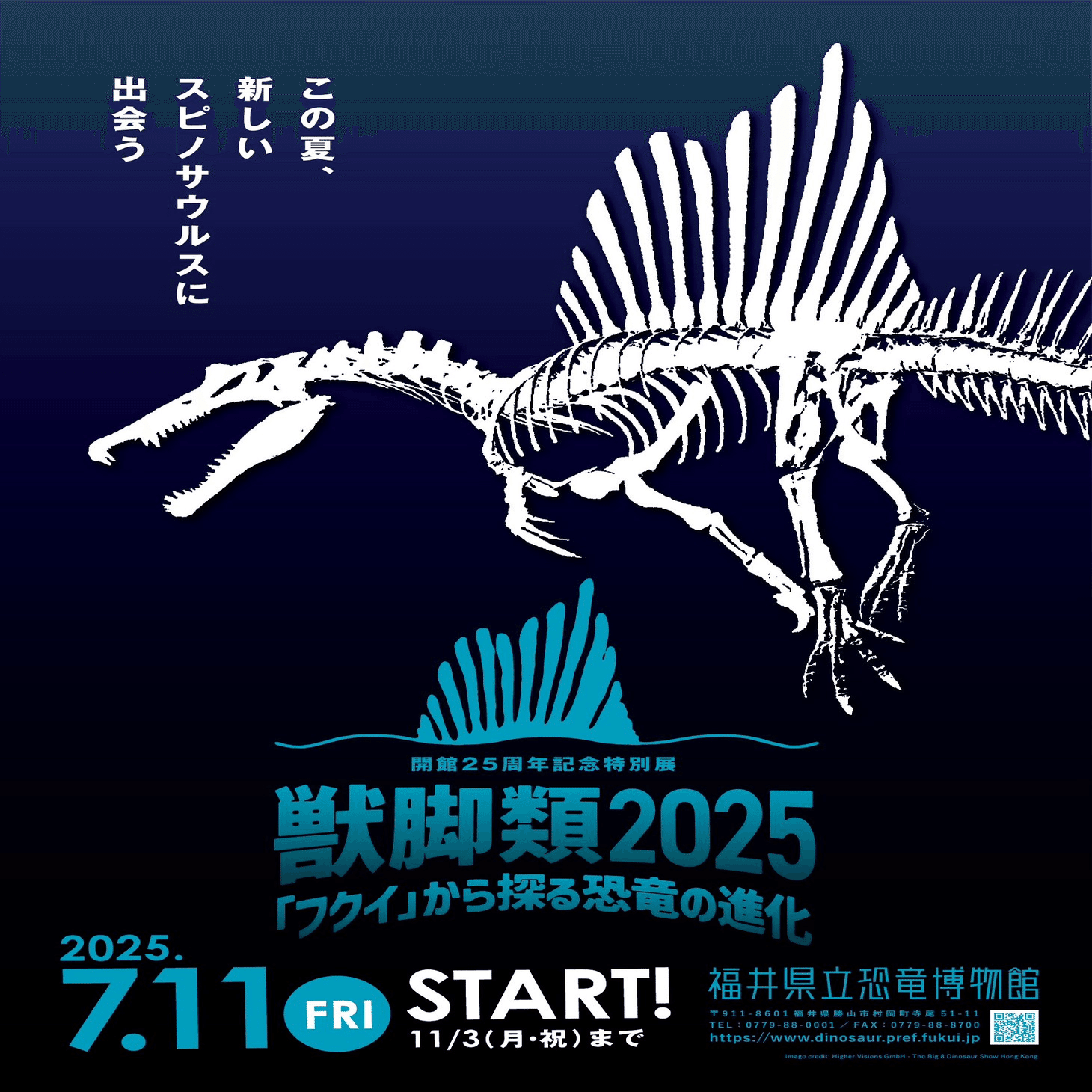 福井県立恐竜博物館常設展＆特別展(獣脚類2025)に行ってきました！｜スピノ