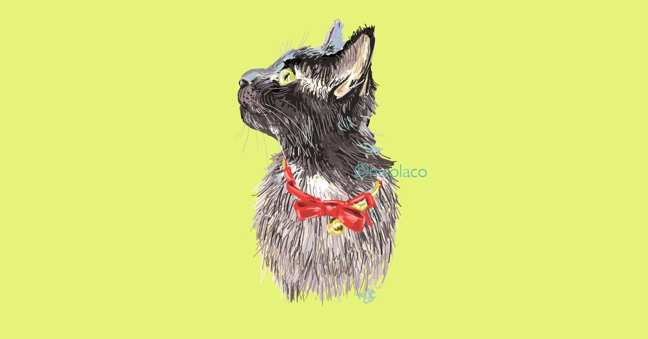 黒猫@ 【イラストオーダー】 illustration works：Xヘッダーイラスト（黒猫）｜にこらこ