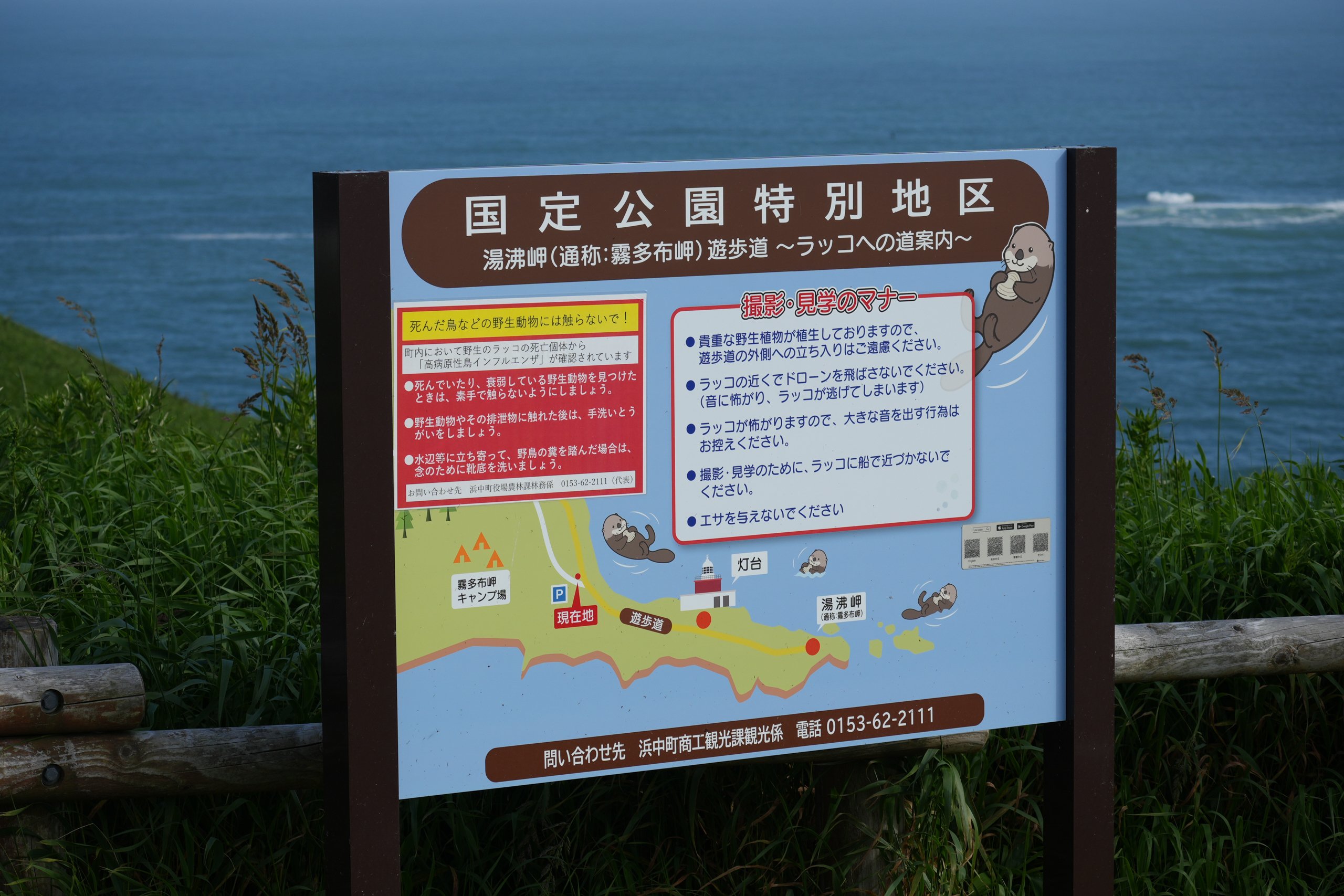 北海道旅行2日目、札幌から中標津へ、プロペラ機で向かった野生の