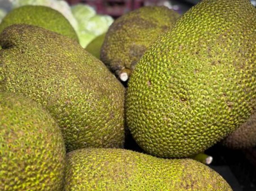 沖縄のジャックフルーツ、その魅力と特徴をご紹介！｜ふるさとのかほり
