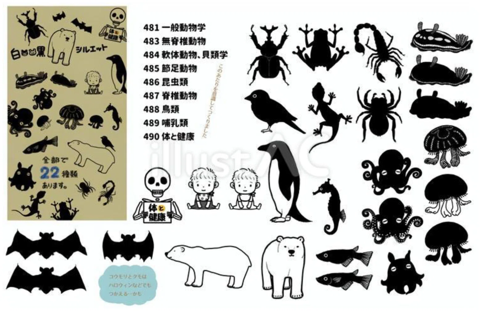 学校図書館で使える「48の動物学」の分類(°▽°)・;'.、案内、掲示物