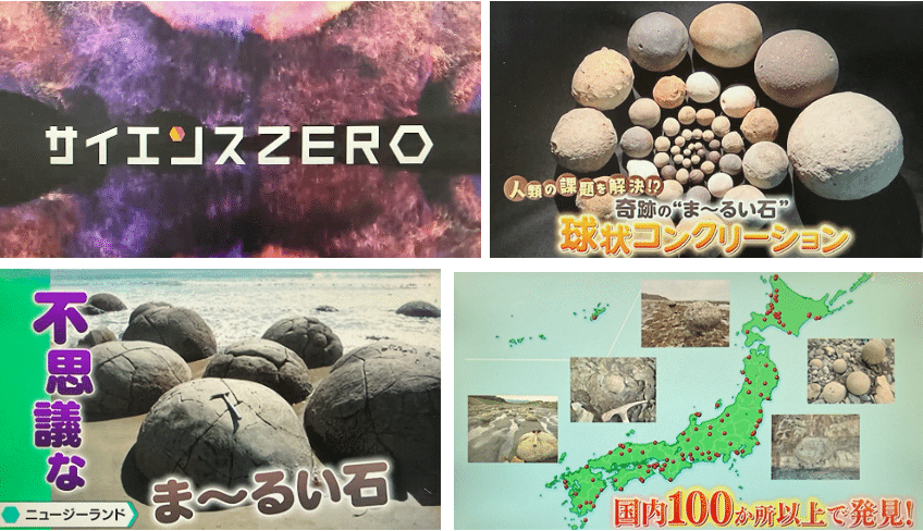 丸い石 伊東・城ヶ崎海岸】まるっ! 自然の芸術“丸い石”の謎 どこでいつ見