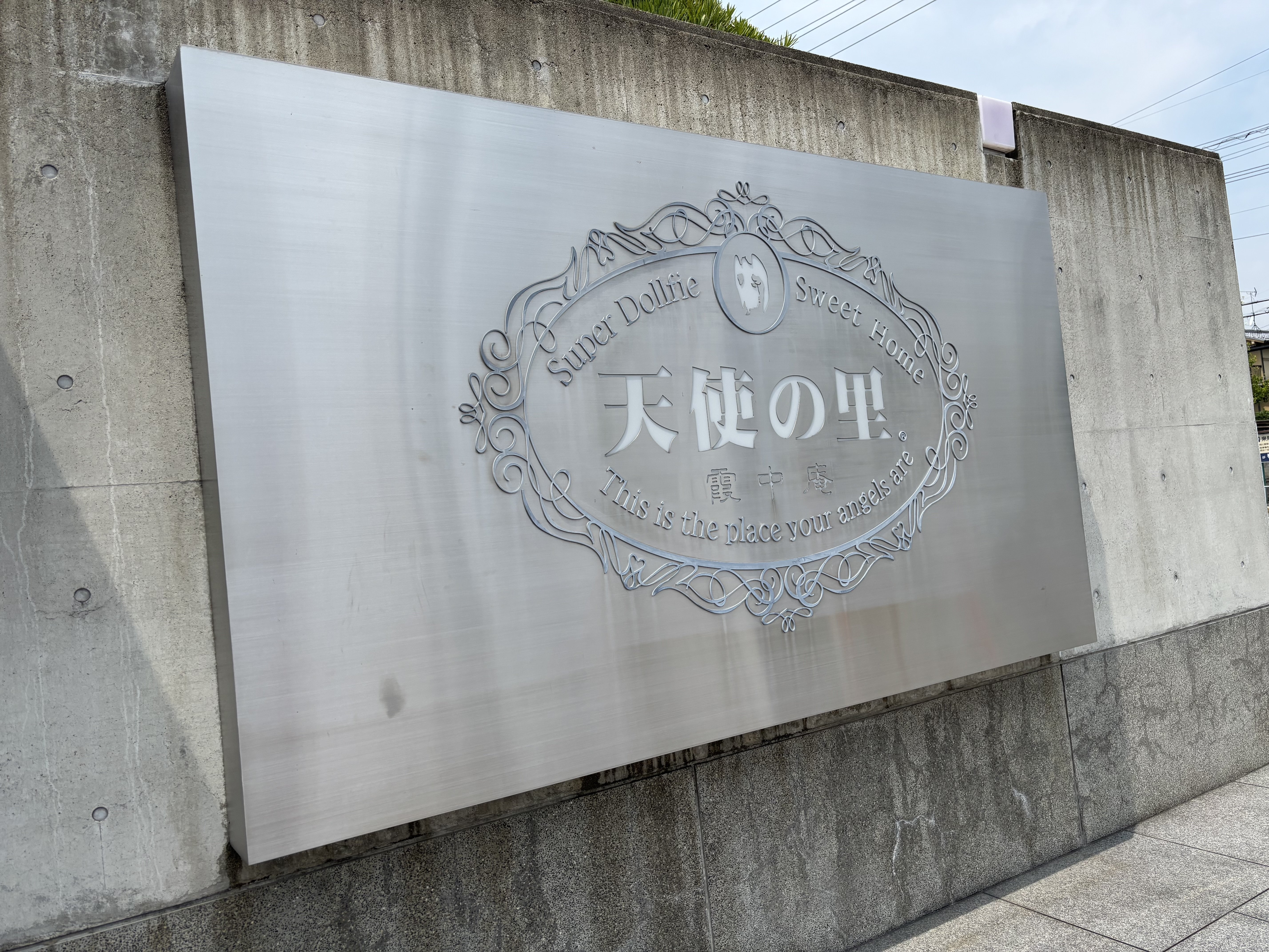 初めての天使の里〜 DD系のドールオーナーが行く｜ゆゆ: