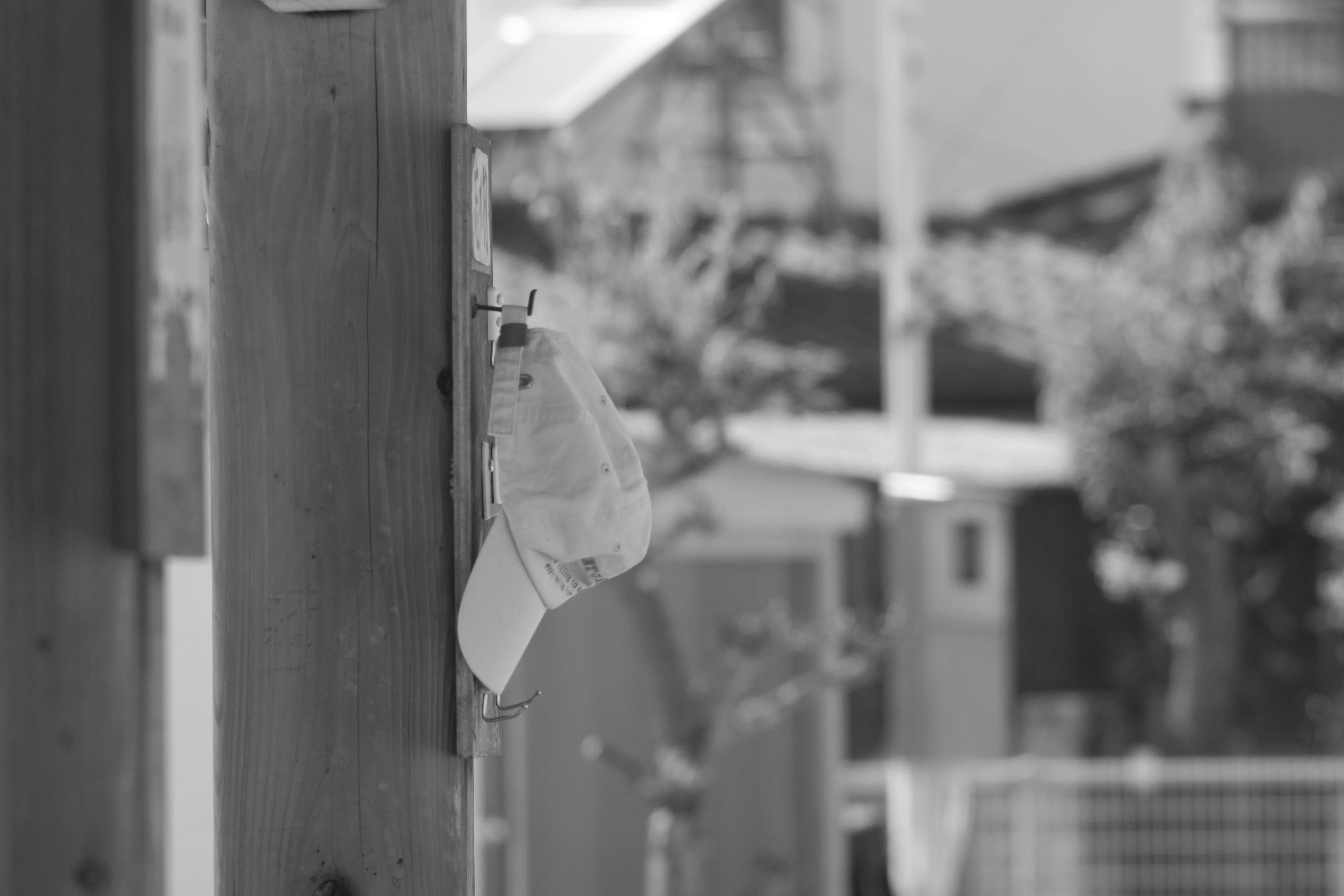 PENTAX-M 200mm F4 光学良好、動作確認済み#26 レンズ沼あれこれ：smc PENTAX-M 200mm F4｜ひっくすK