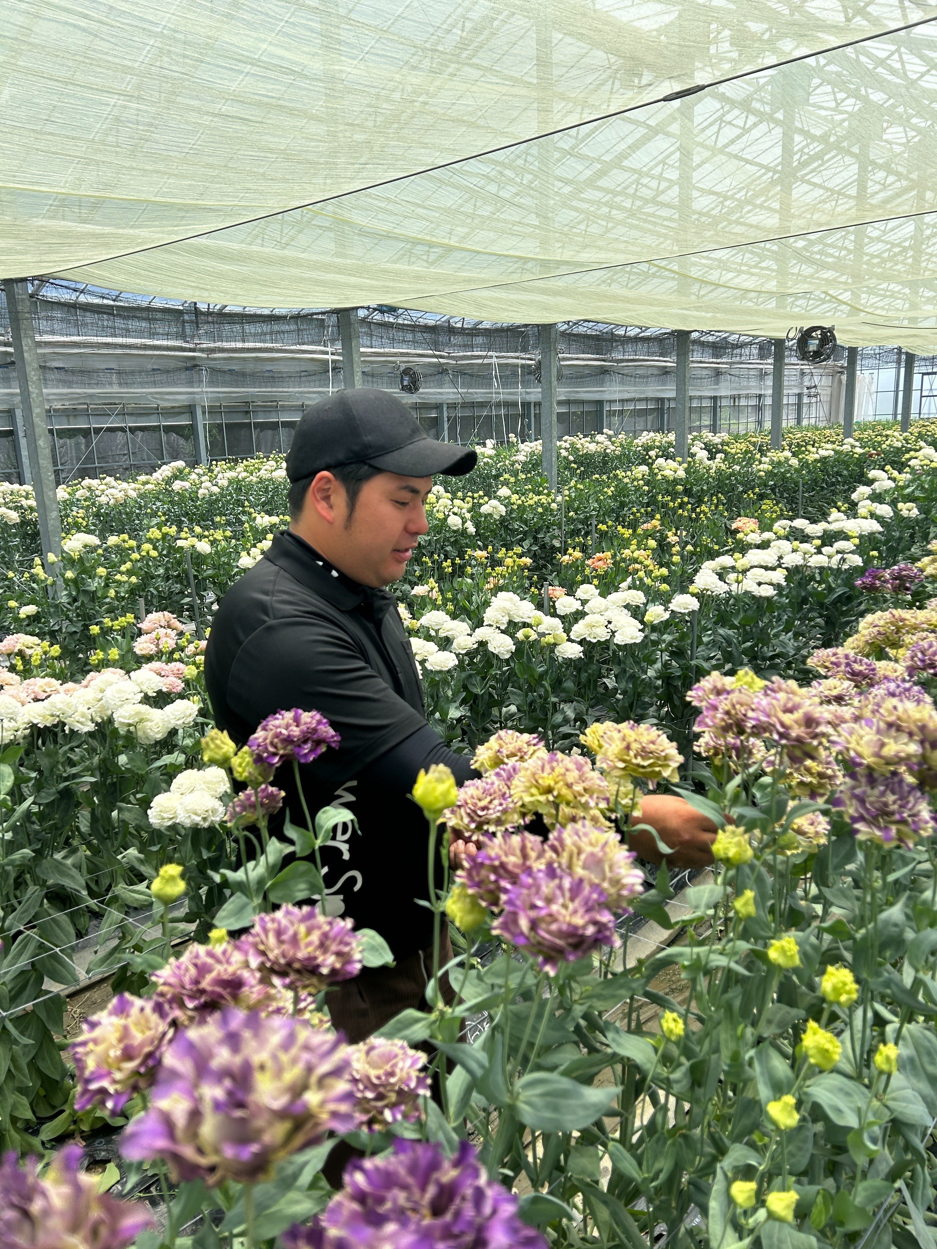 切り花産地訪問記～長野県『フラワースピリット』リシアンサス生産者