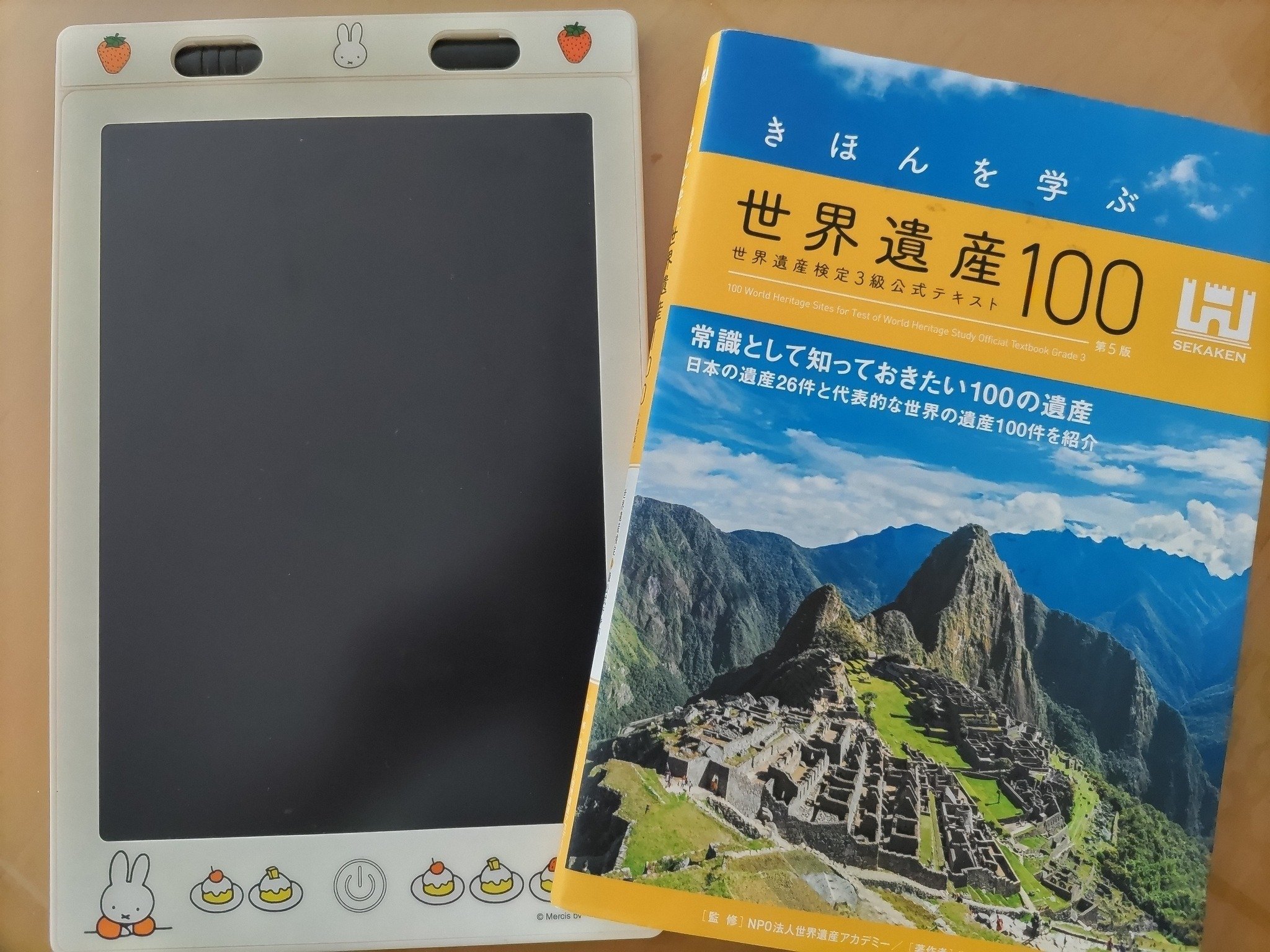 セカケン神奈川県民オフ会 in横浜｜にしお@世界遺産って何スカ？