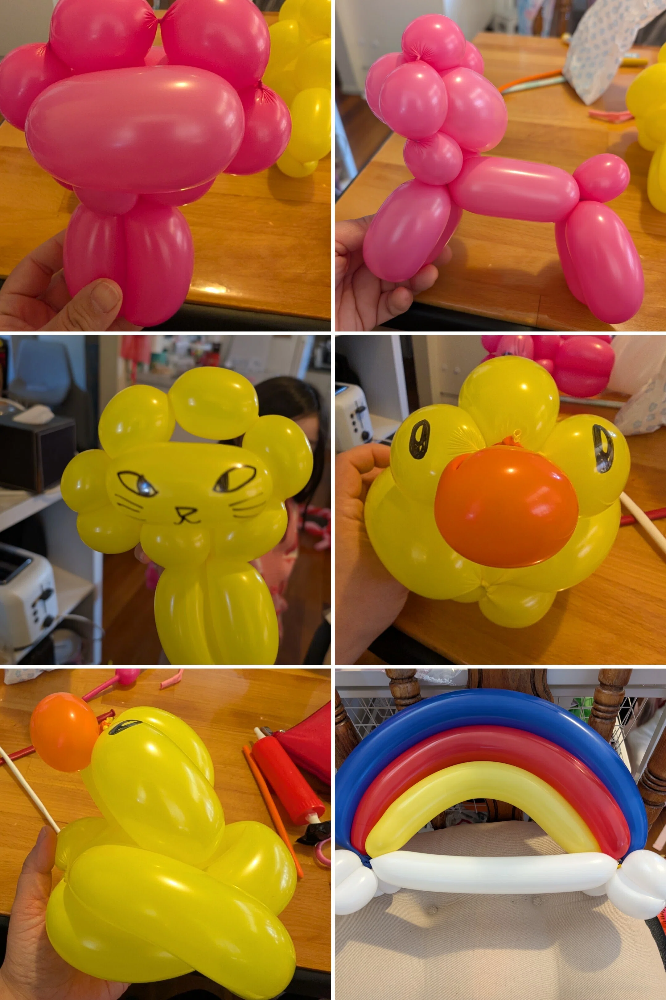 🎈Day6 「虹、あひる、ライオン」｜じゅの@バルーンアート初心者30日間
