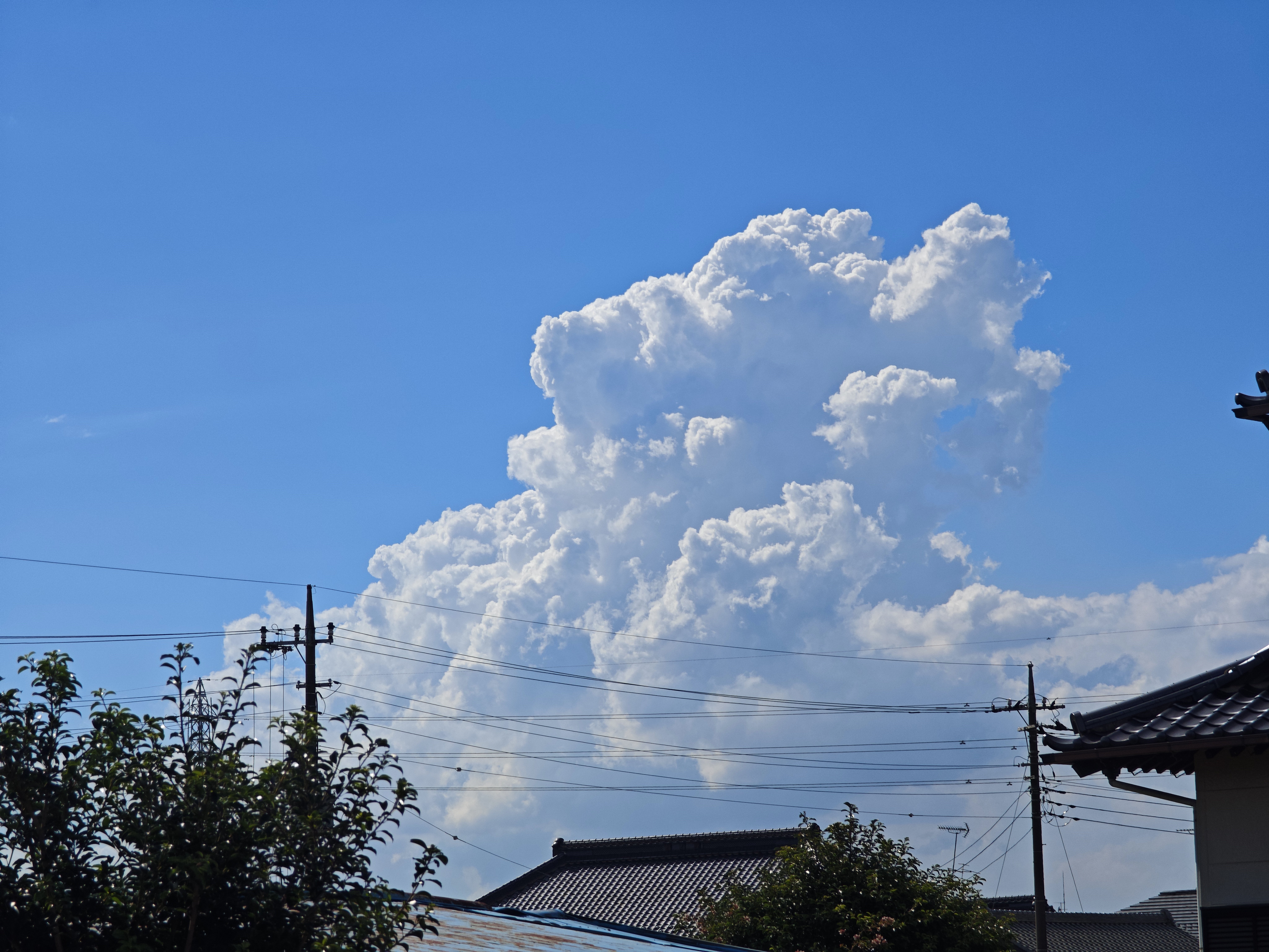 雲 2025年8月8日 夏の雲｜ジョイフル
