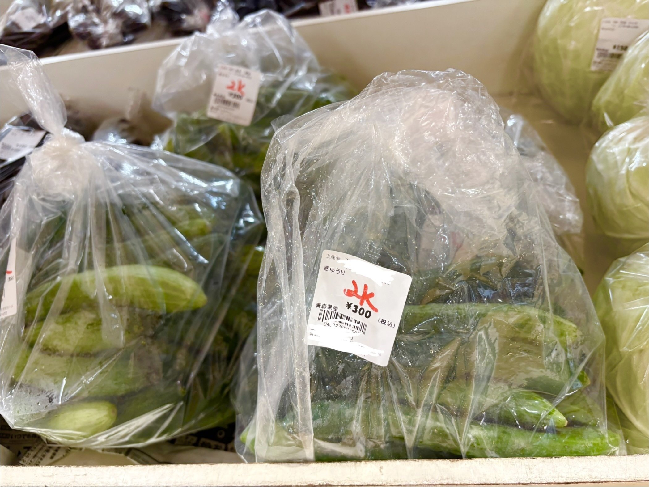 ドでかい野菜を見つけると興奮する癖について｜ニッキカキタイ