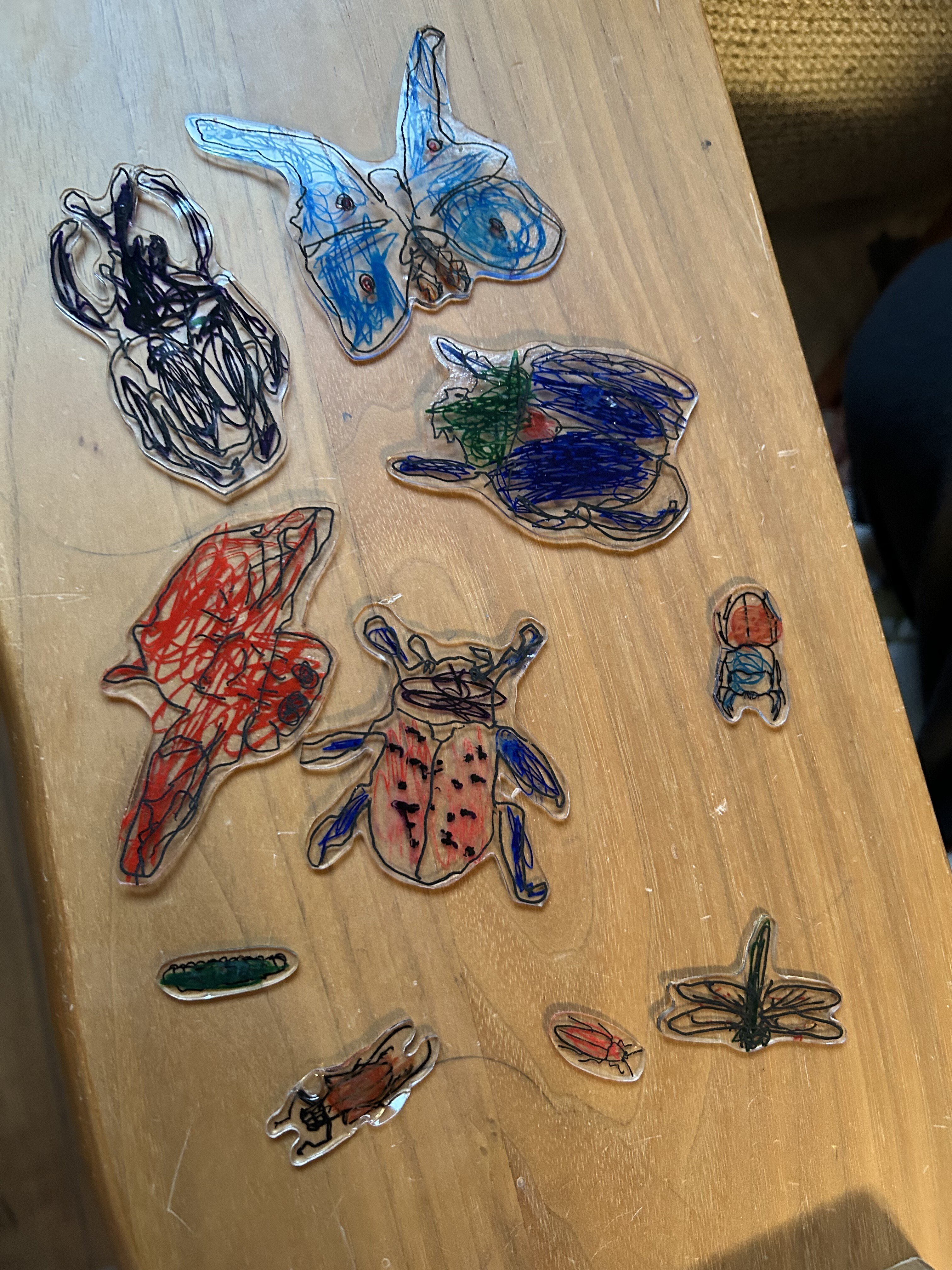 季節制作のススメ「プラ板で昆虫標本」｜ナツノマエコ／イラストレーター