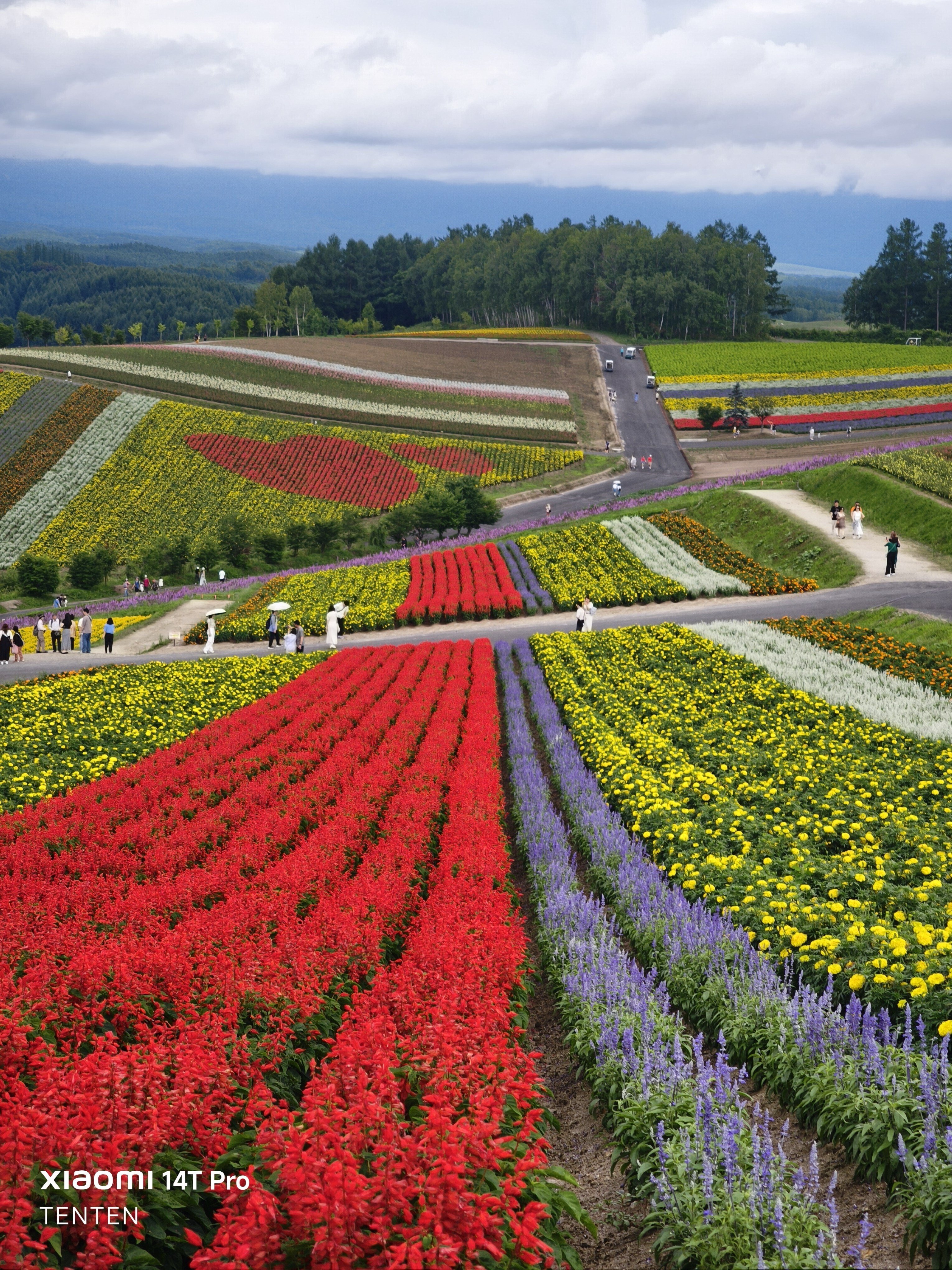 1泊2日で富良野・旭川・美瑛の旅（2025年7月28日～29日）《その4