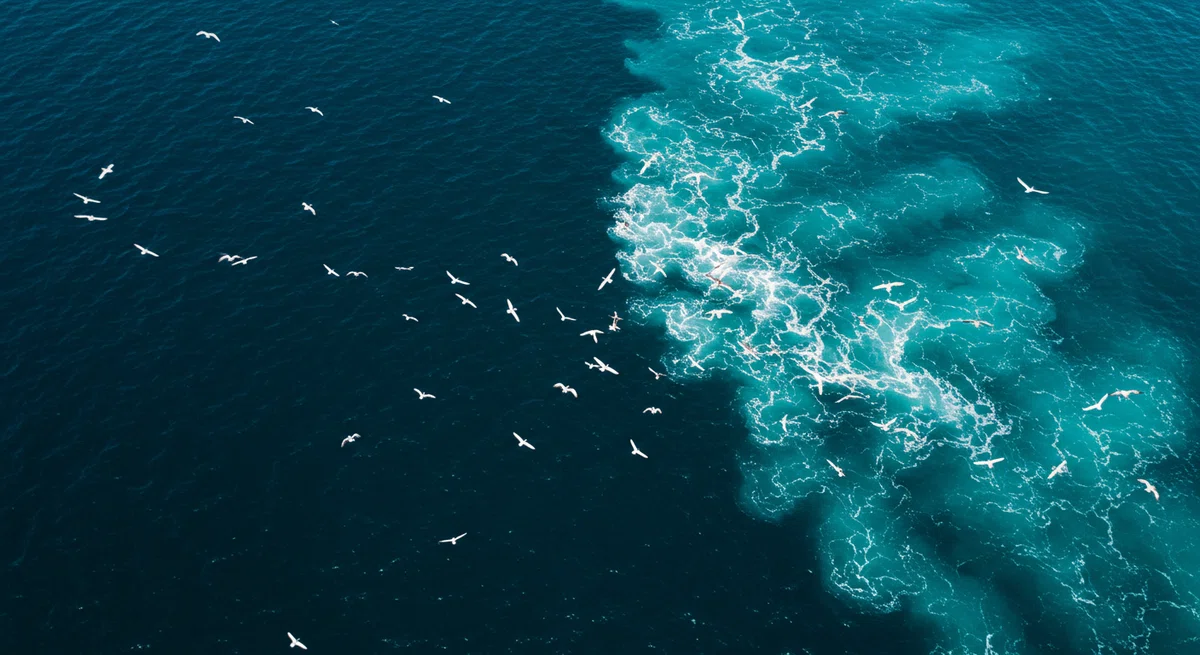 ドローンで撮影したような、沖の潮目がはっきりと見える海の航空写真